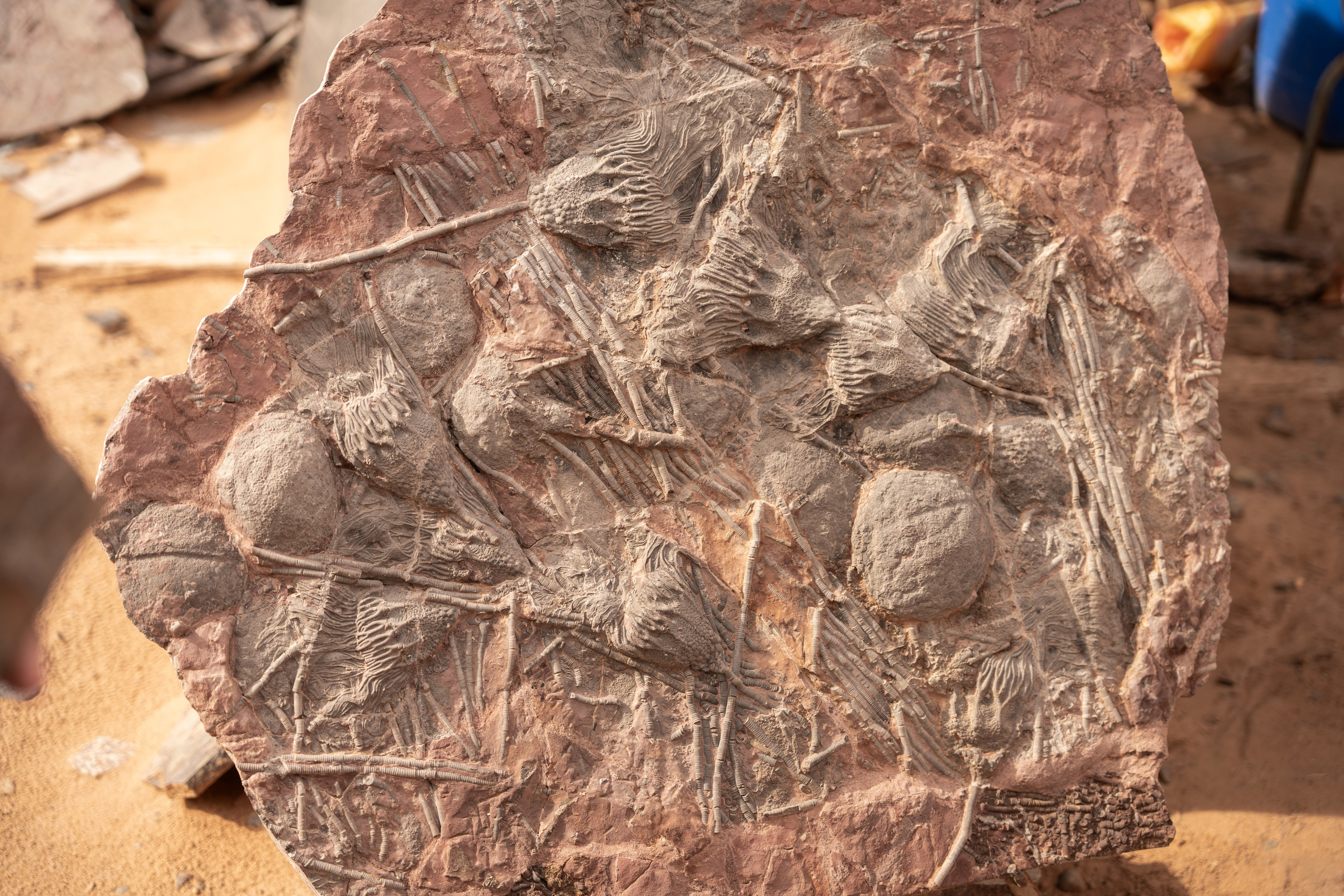 Марокко. Илья Варин — Фотограф Москва, Тверь