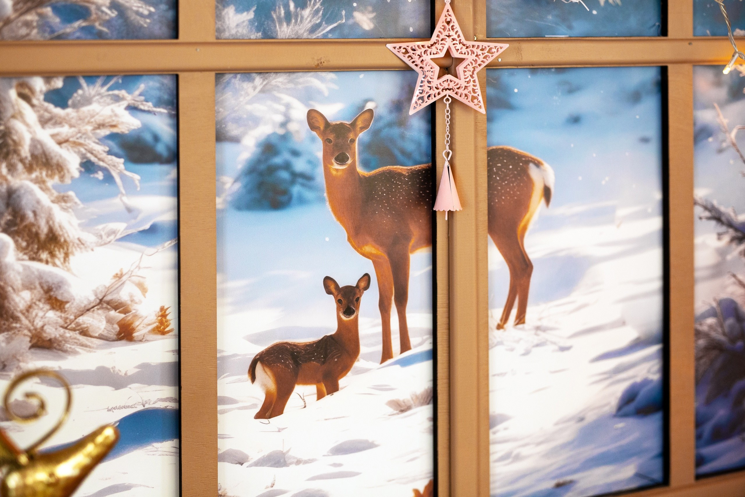 ДОМ БЕЗ РАМКИ. Семейный и свадебный фотограф в Воронеже Майя Добровольская