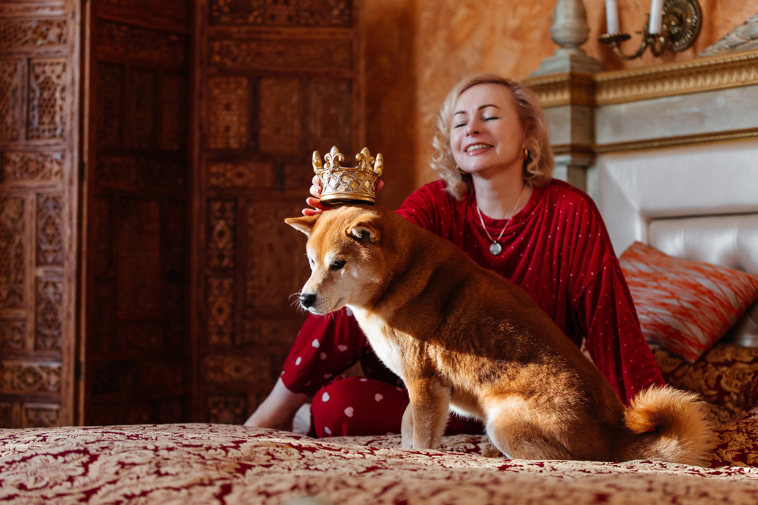 Фотосессия дома с Сиба-ину. Фотограф-анималист в Краснодаре Маша Мельникова