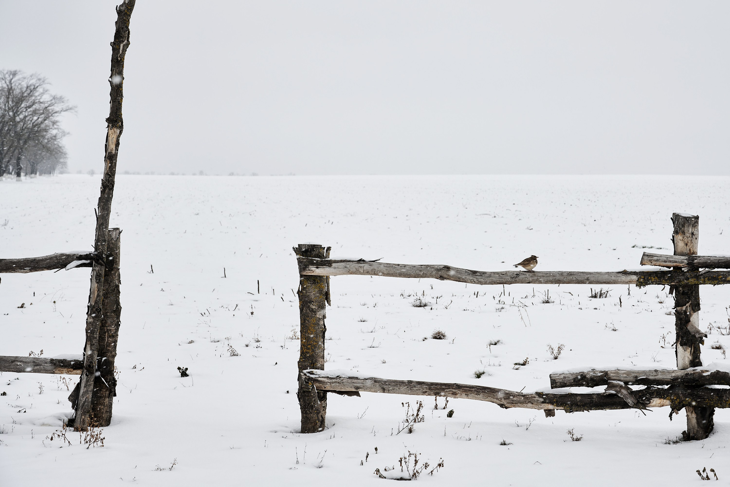 Пейзажи. Яркие фото на Чёрном море