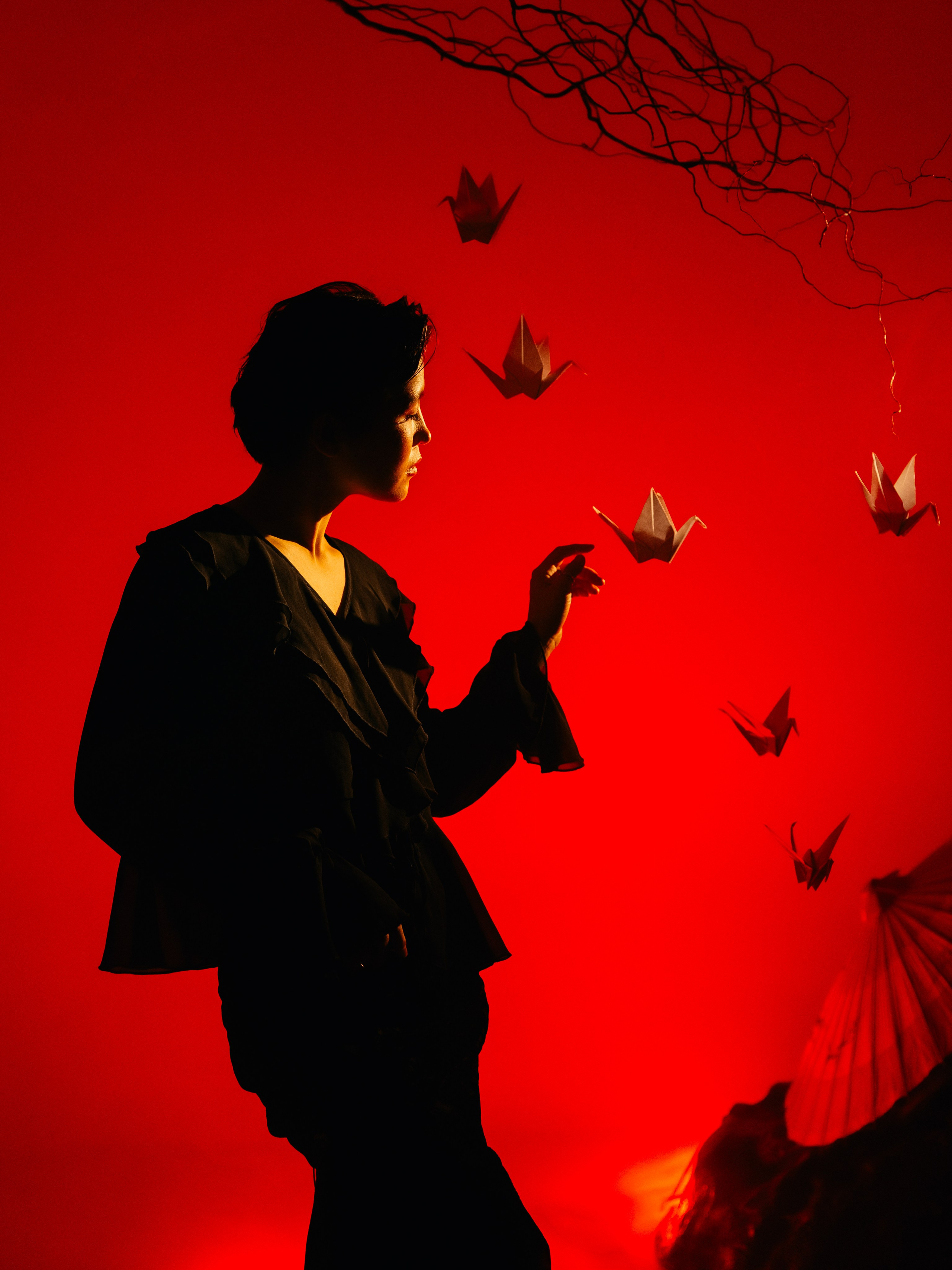 «Тени Киото»