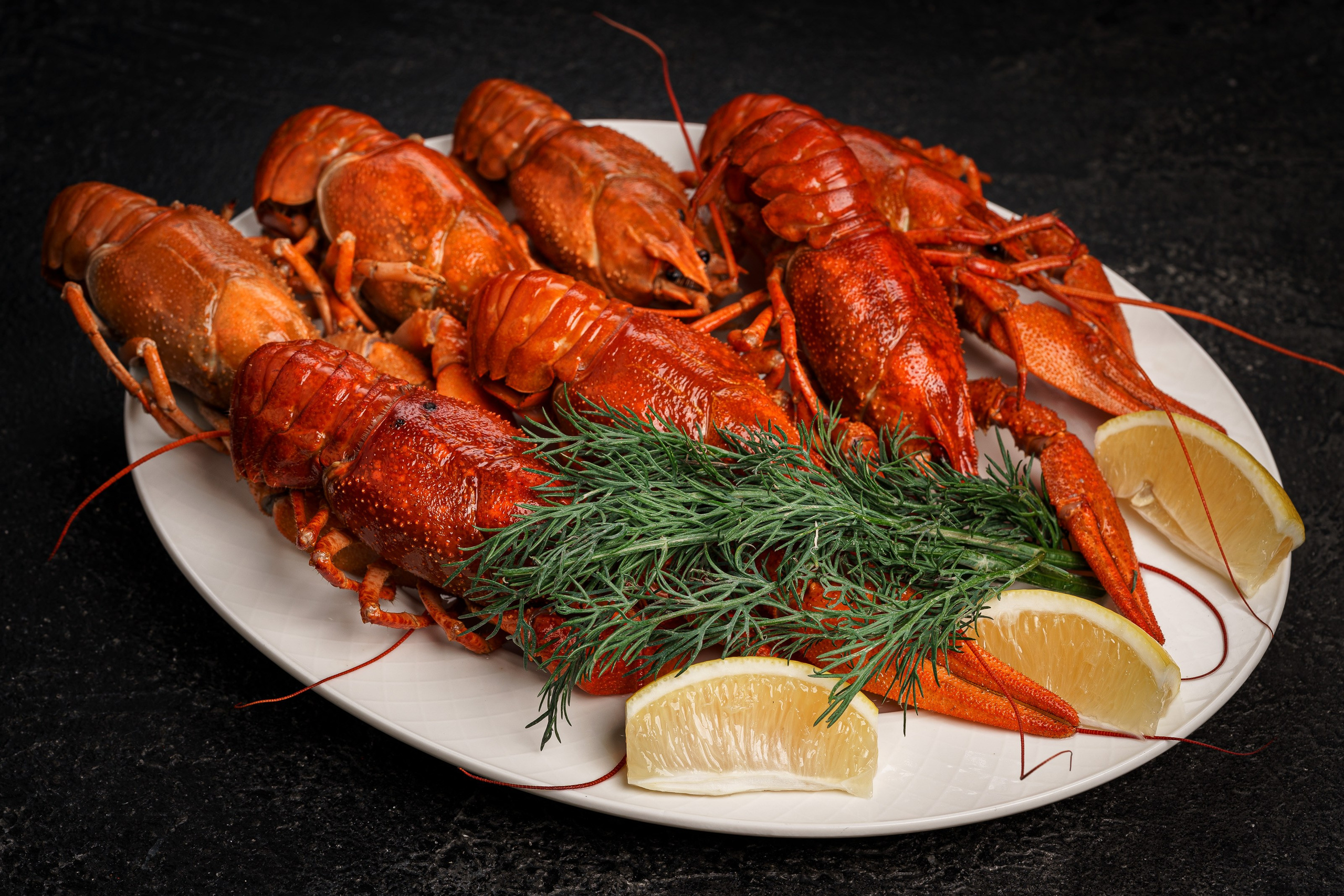 Фуд-фото. Фотограф Николай Прокофьев модельные тесты в Москве