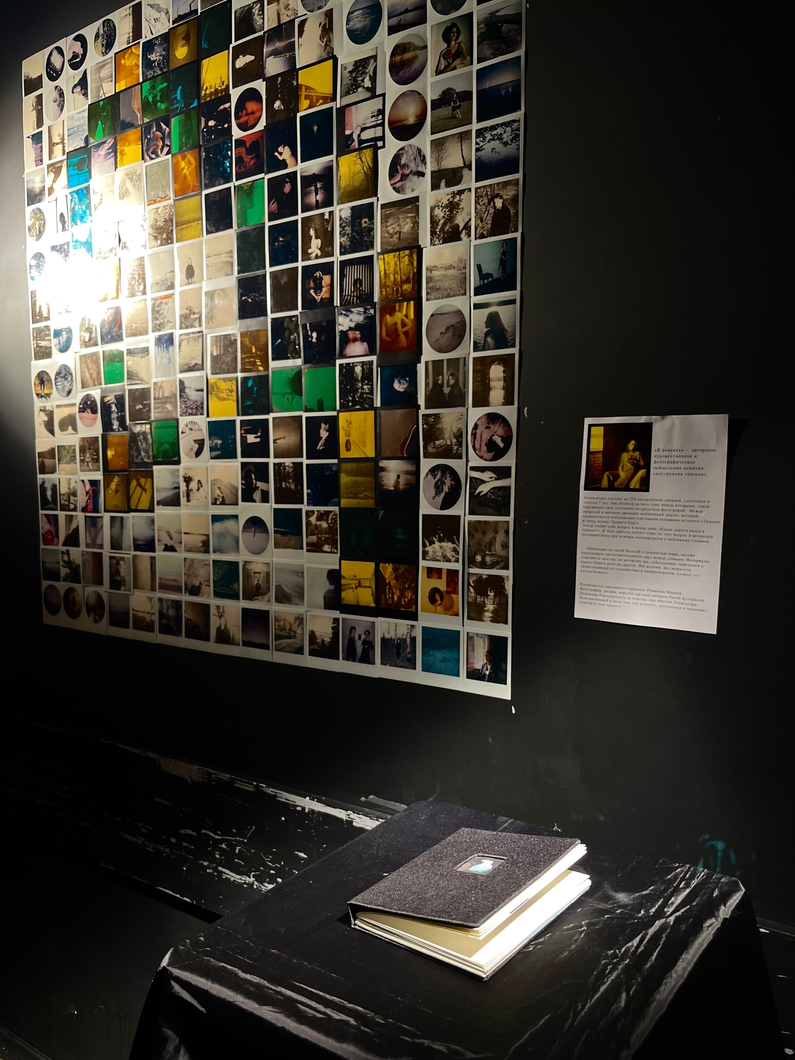 «В поисках»/ «Looking for» (2024). Morskyakanulavmorya