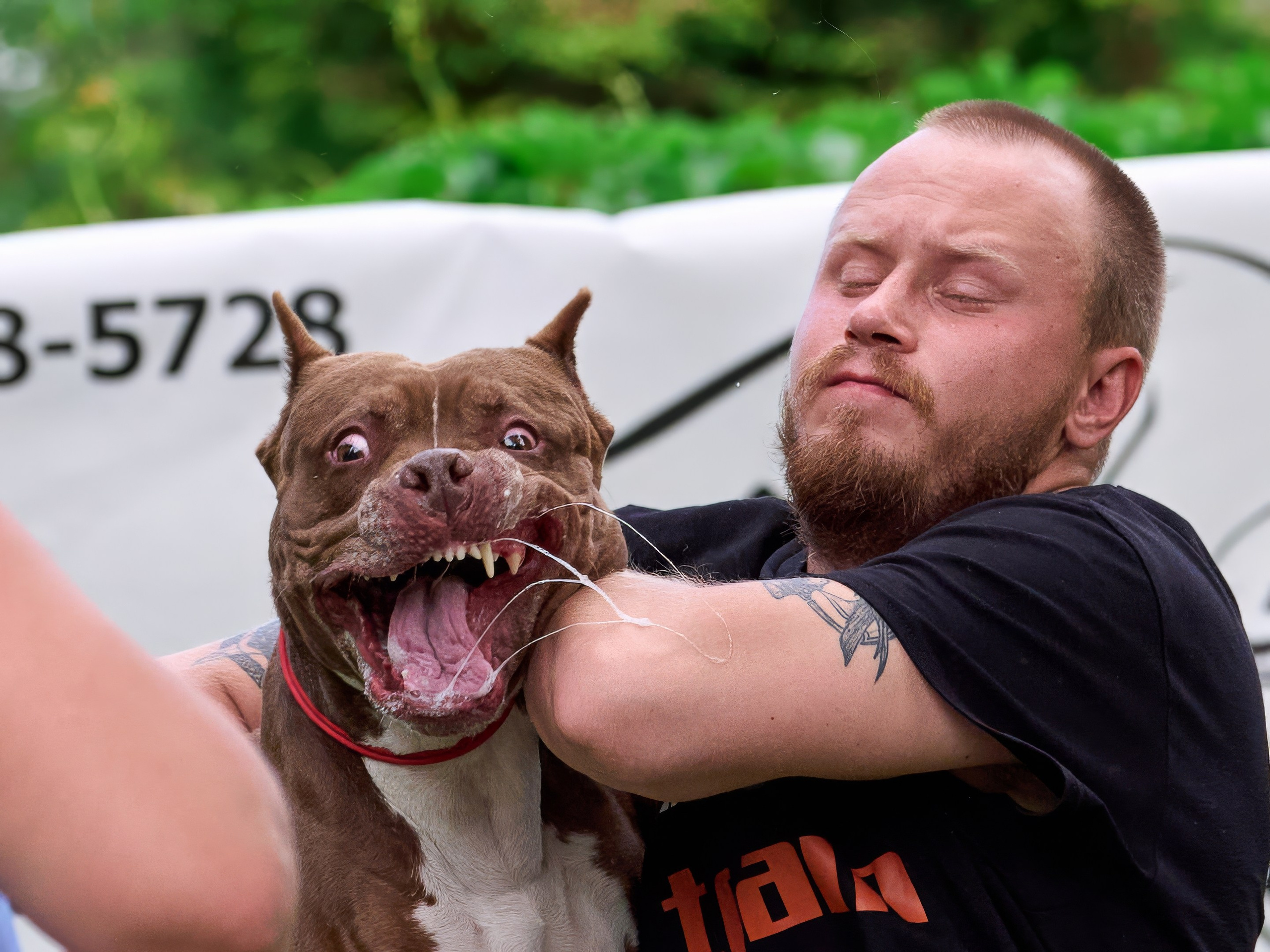 Двухдневные соревнования «Jump'n'Gym Fest — 2024». Фотограф-анималист Михаил Манухин