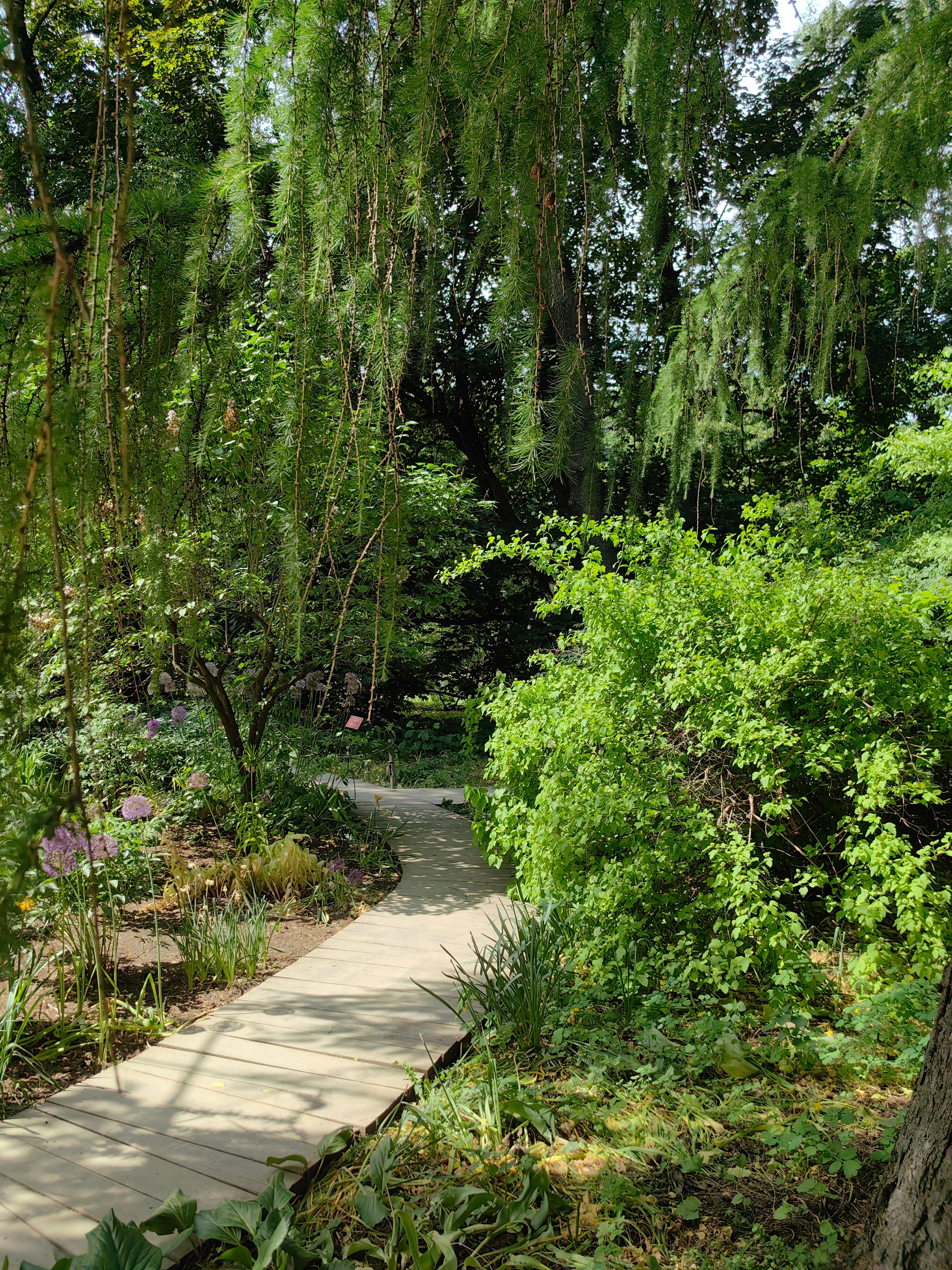 Парк АПТЕКАРСКИЙ ОГОРОД обзор. Фотограф в Москве и Московской области (Ю-В) Олеся Макарова