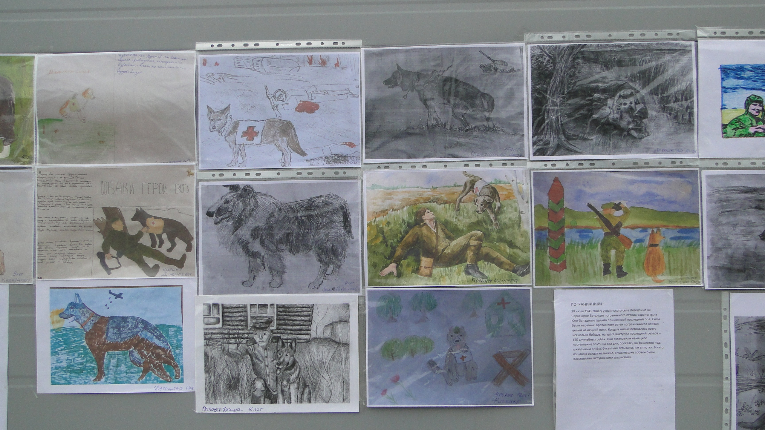 Кинологические старты. НРОО КЦ "Собаковод"