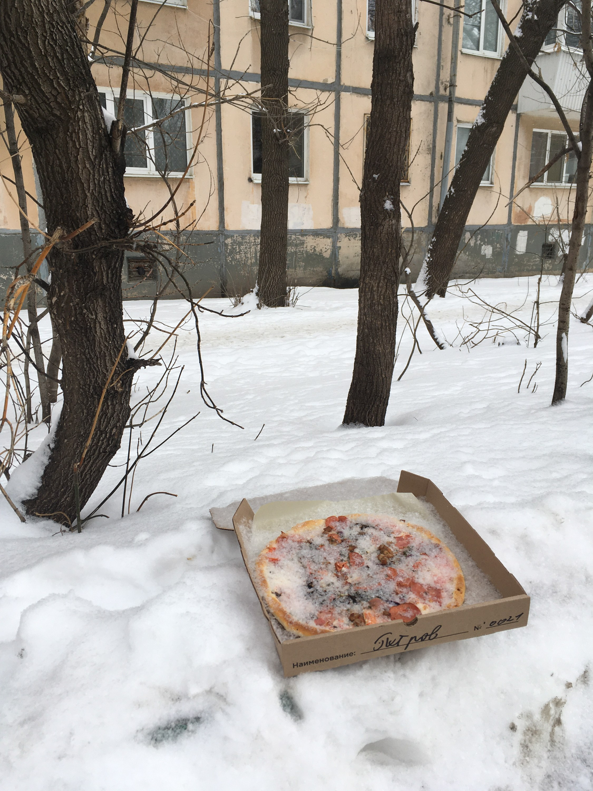 Предвзятая действительность. Дима Птицын