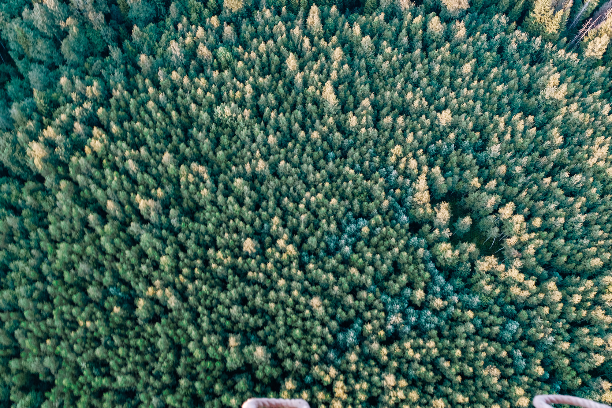 Нашествие 2018. Свадебный и репортажный фотограф Евгений Рудницкий