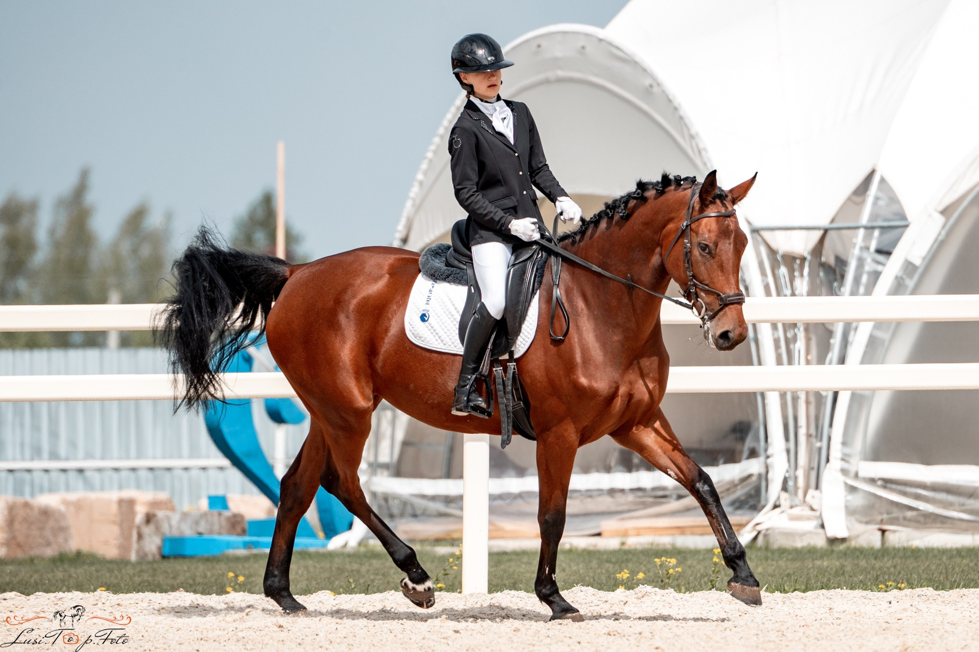 Кубок Победы конного Клуба EQUIPARK по выездке. Конный и фотограф с животными в Твери Топталова Люся