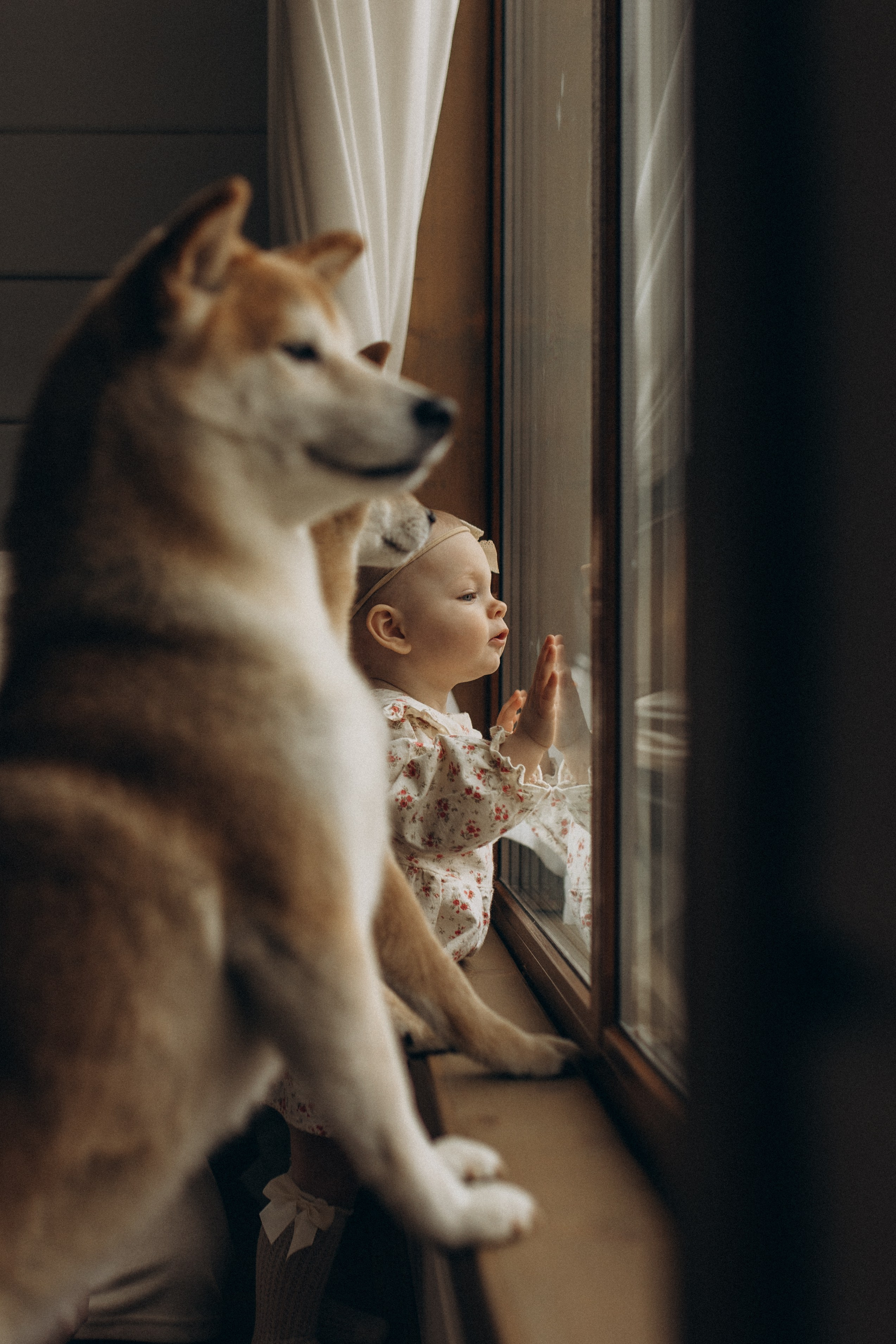 Услуги. Семейный и детский фотограф в Дмитрове и Москве Старцева Ирина