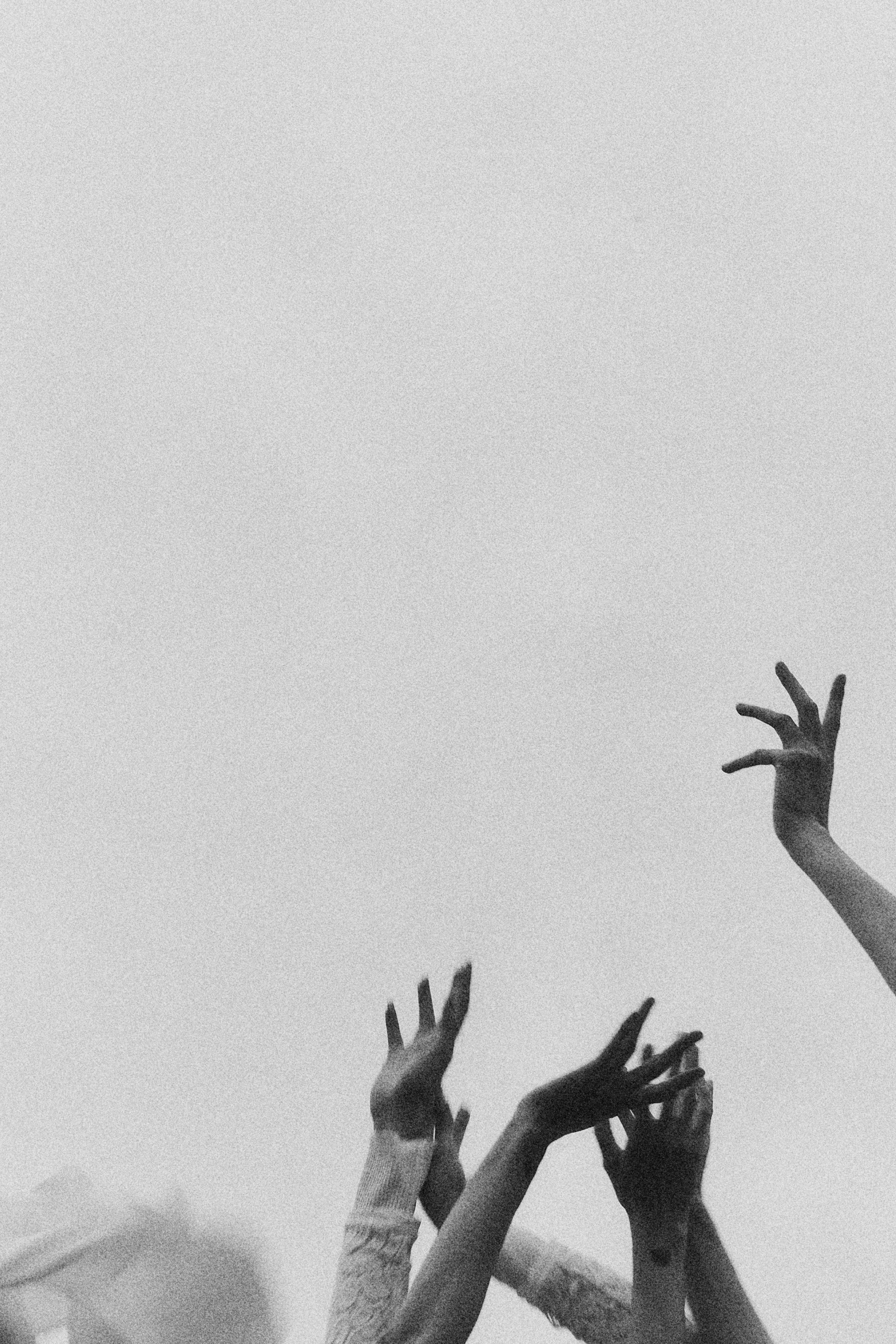 Виолетта и Александр. Свадебный и семейный фотограф в Иваново и Москве Мильков Вадим