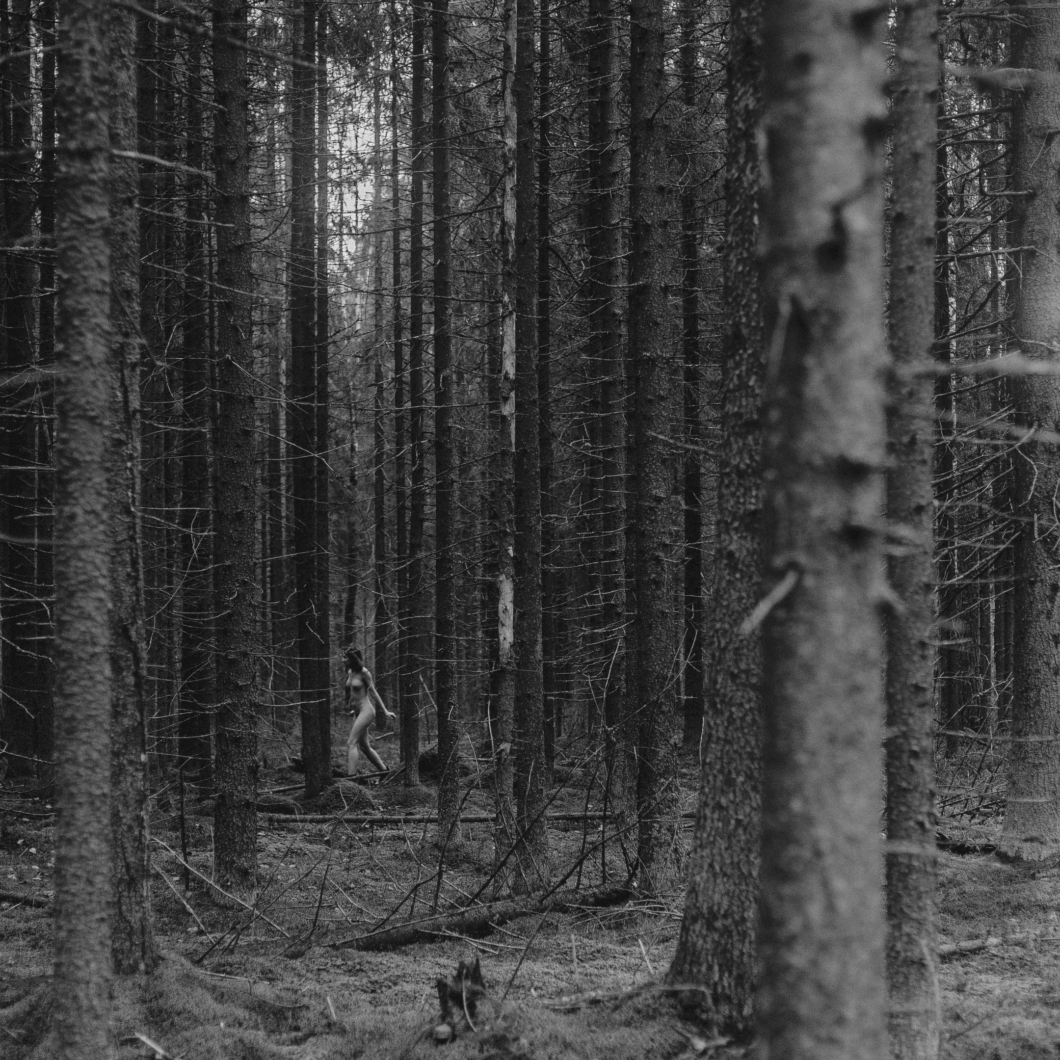 Two Years Ago. Wordlessly