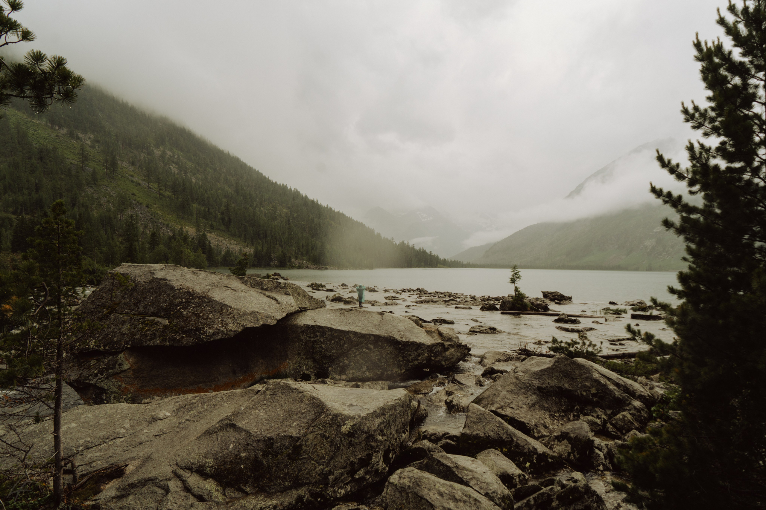 Алтай 2025. Лиза Фирстова