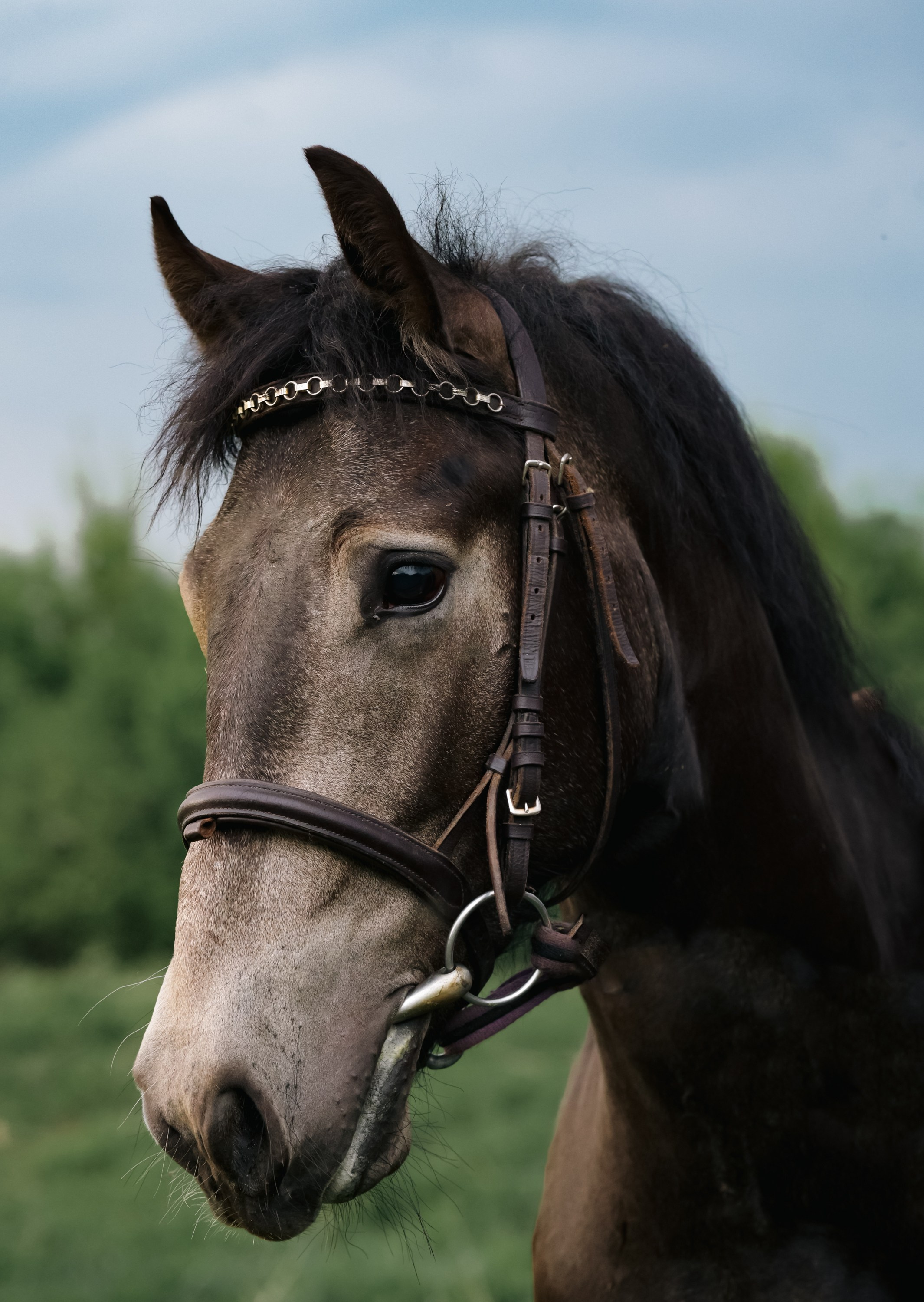 Туман. Фотограф Варвара Ермоленко