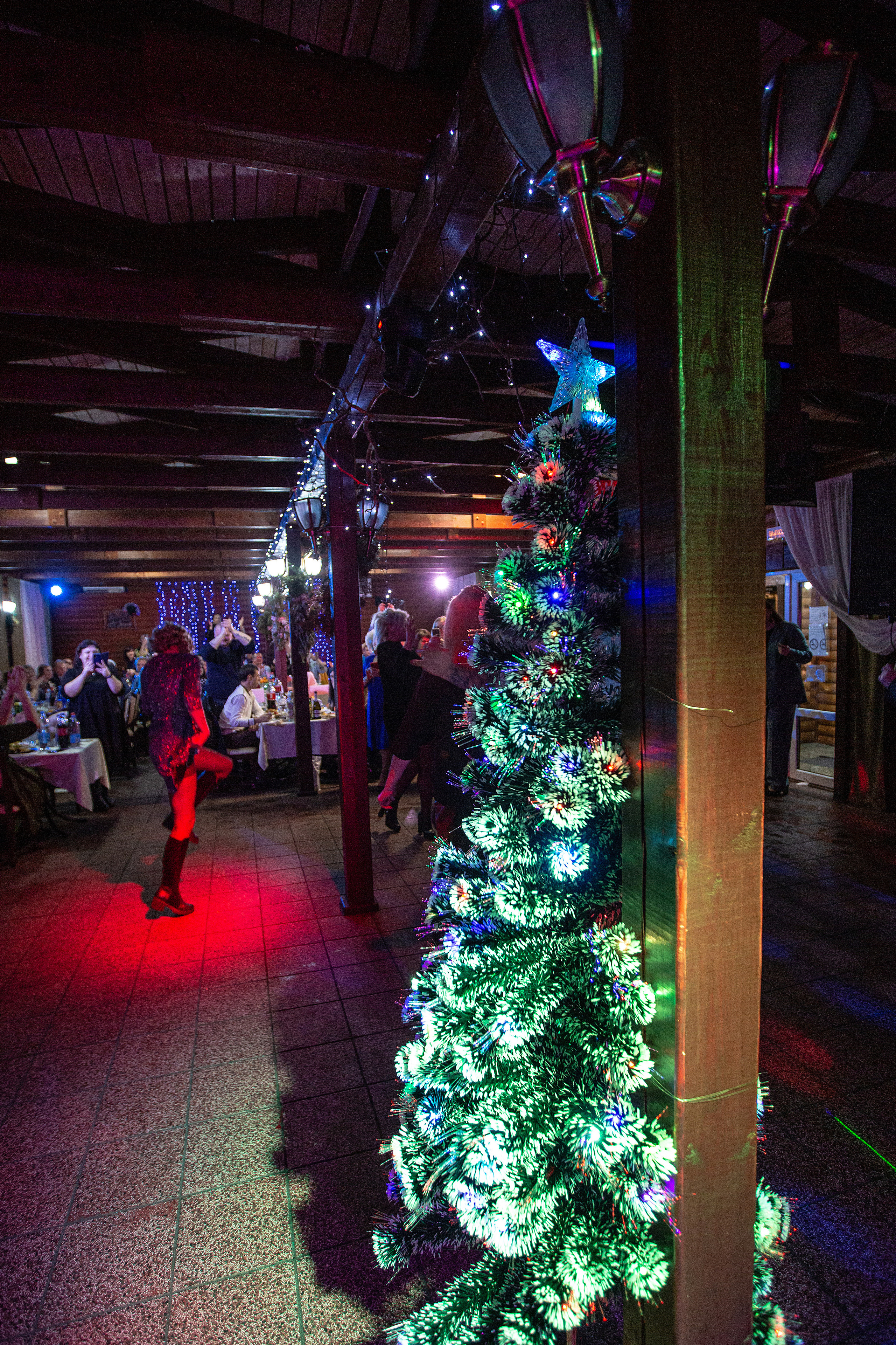 Новогодние корпоративы в кафе Карлион. Свадебный фотограф в Барановичах Вячеслав Шах-Гусейнов, фотошкола