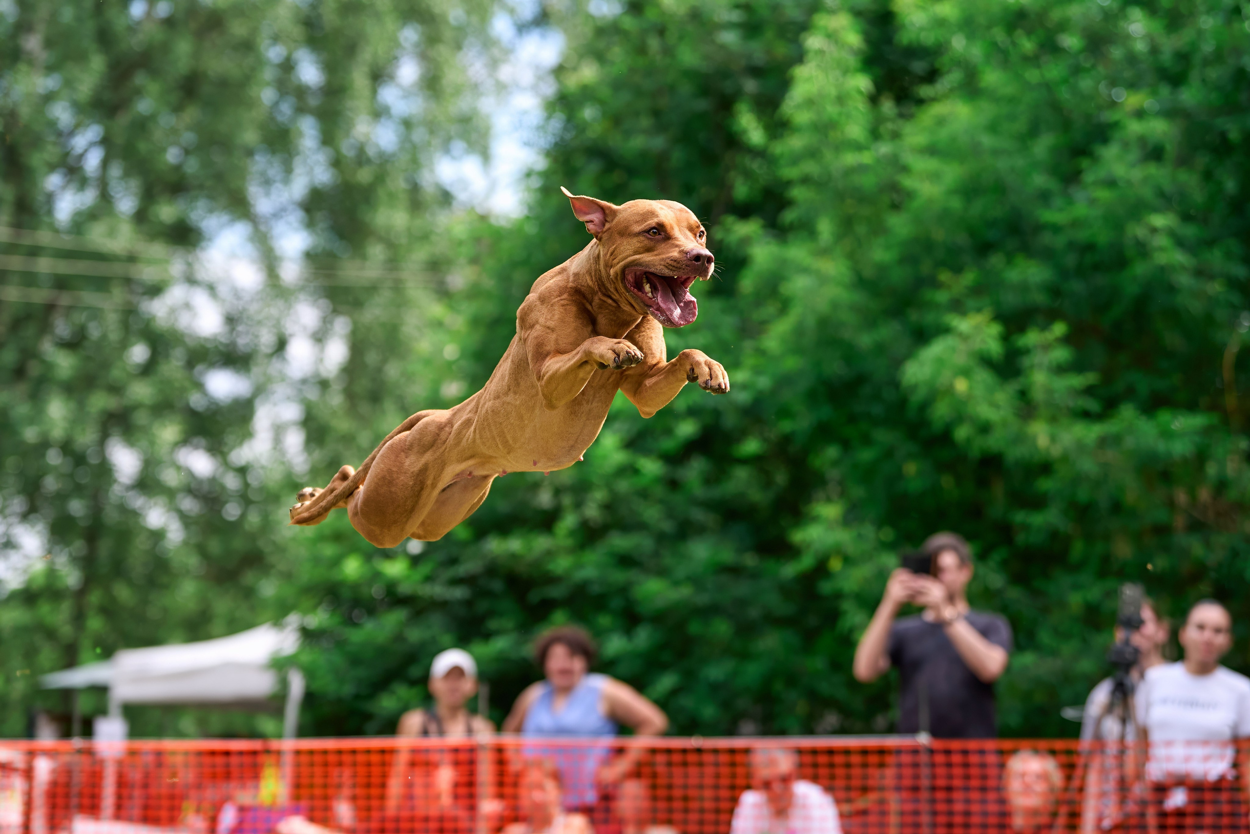 Двухдневные соревнования «Jump'n'Gym Fest — 2024». Фотограф-анималист Михаил Манухин