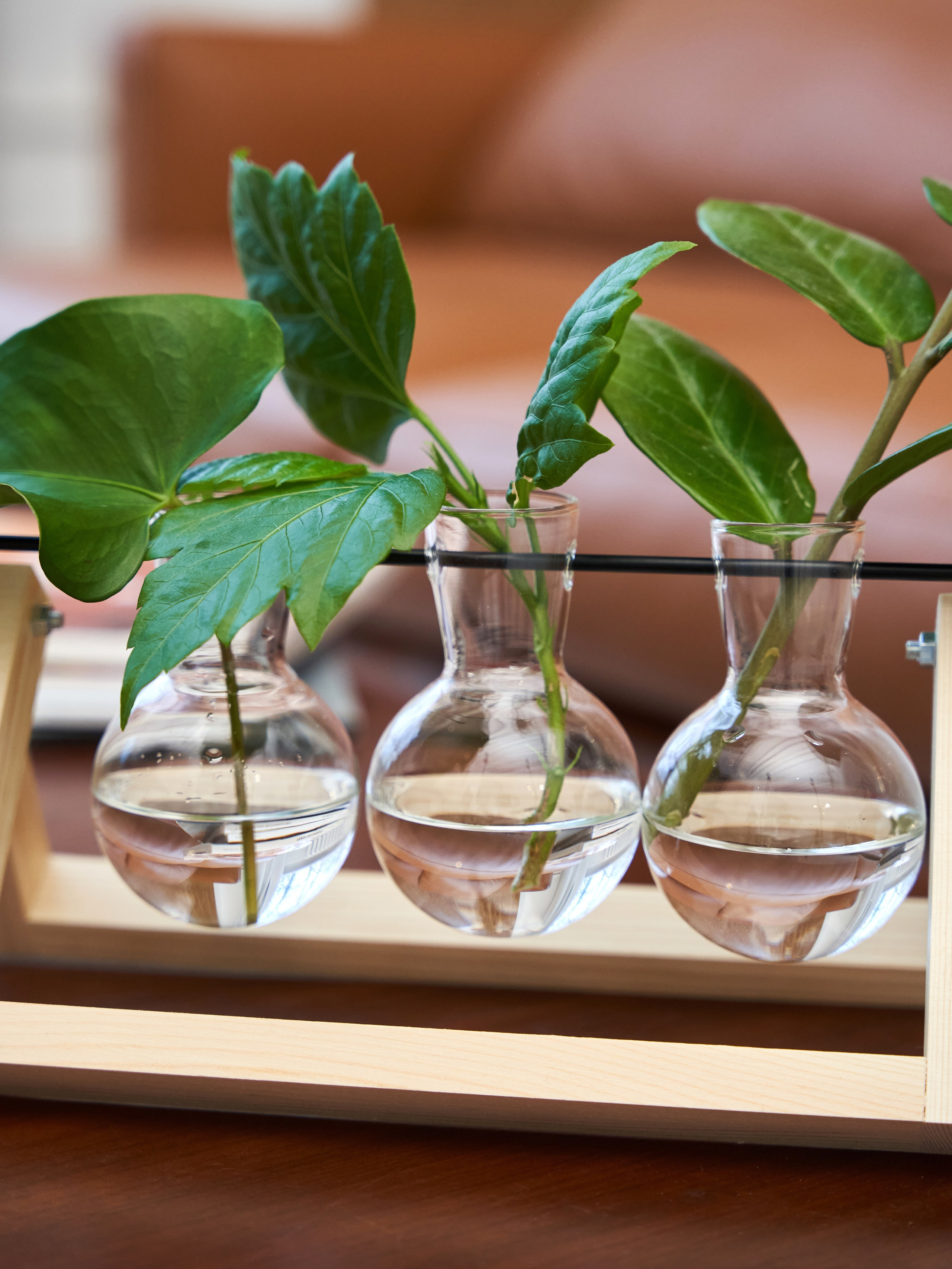 Предметное фото - милые и привлекательные аксессуары для добавления шарма.