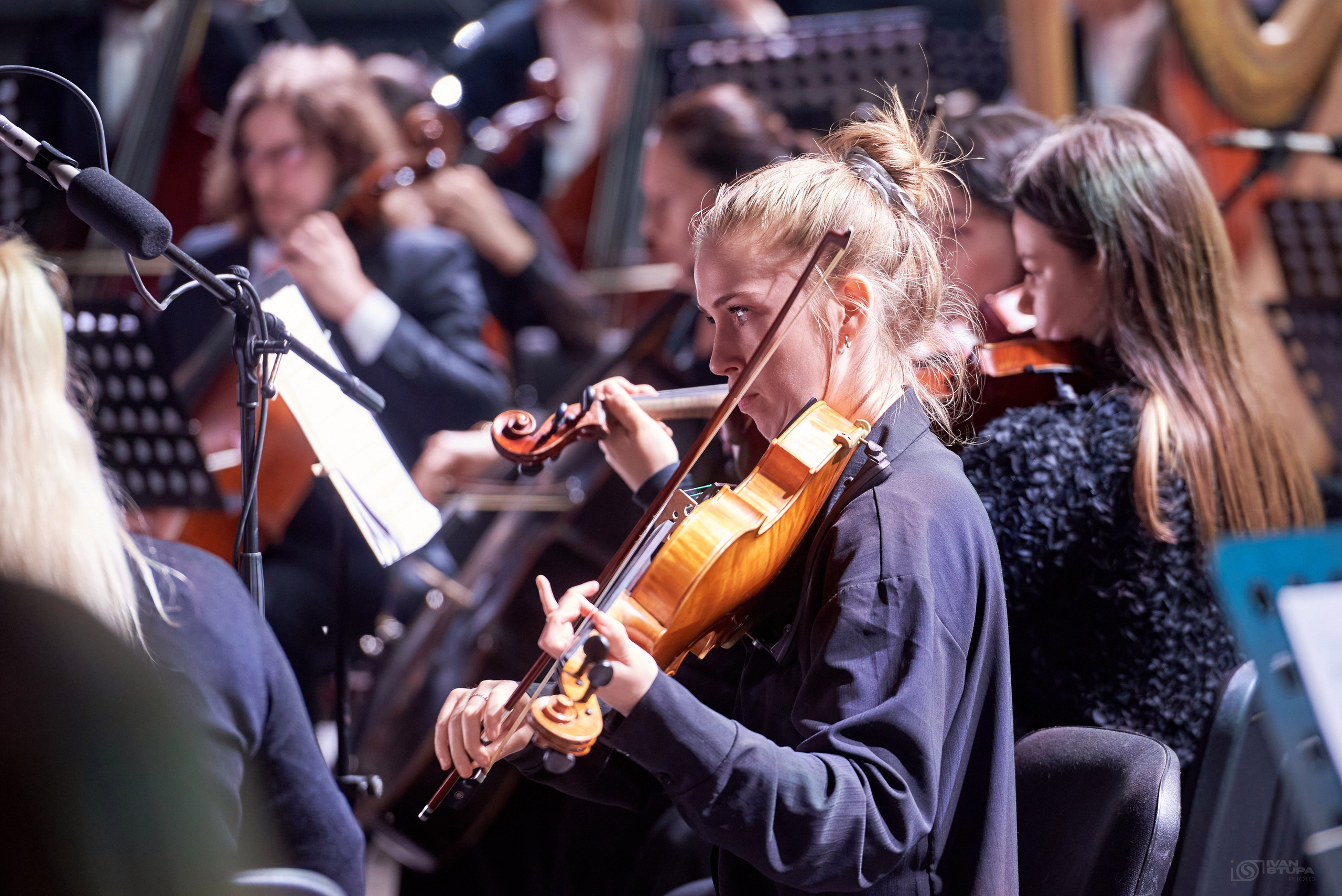 Ночь Музыки в Гатчине 2025. Иван Ступа, репортажный фотограф в Санкт-Петербурге и Ленинградской области