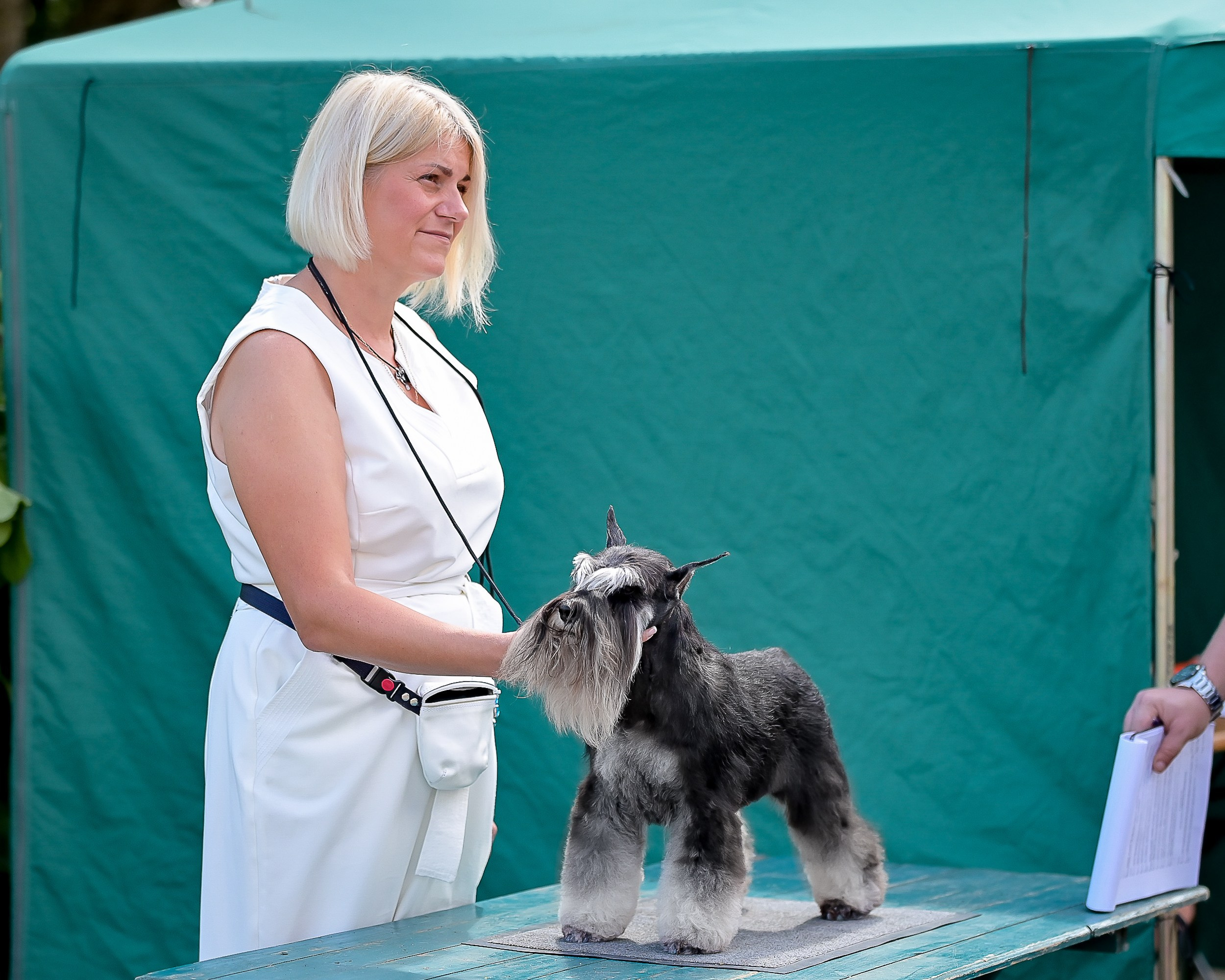 #delinsobalance #цвергшнауцер #питомникцвергшнауцеров #цвергшнауцерыбеларуси #питомникцвергшнауцеровбеларусь