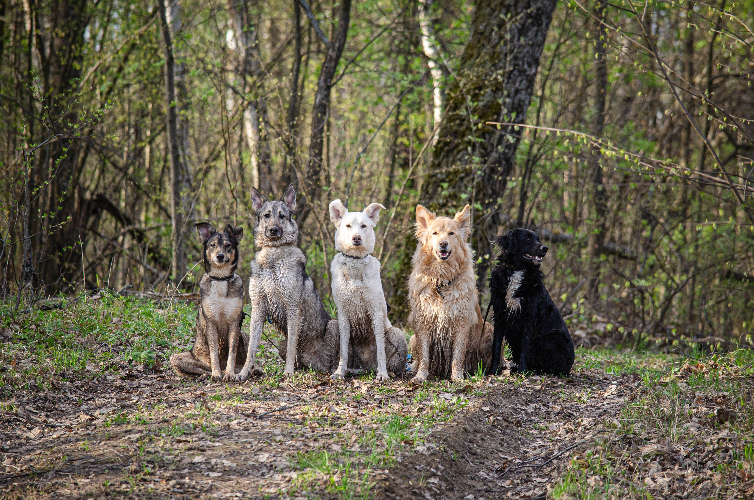 Услуги. Фотограф Светлана Блинова, Москва и Московская область