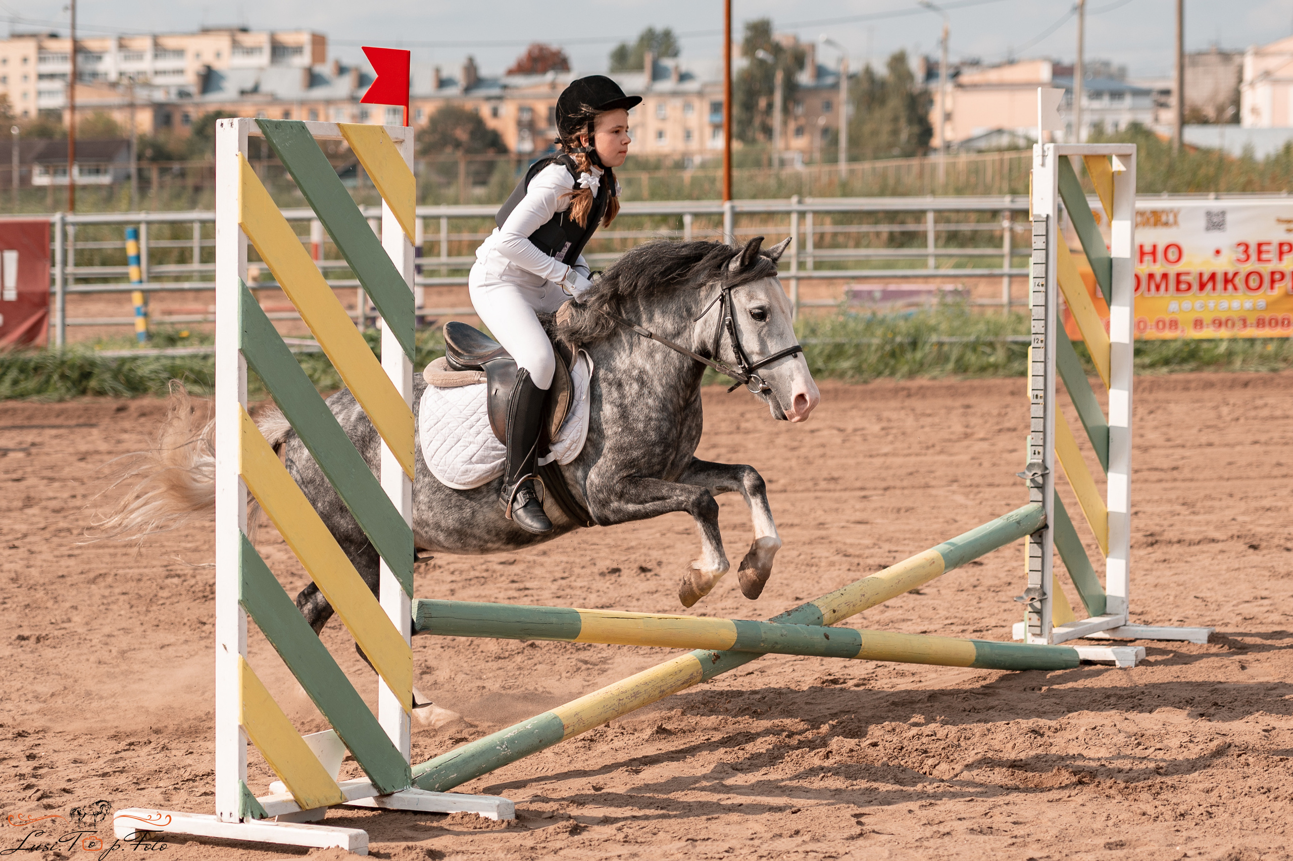Турнир по выездке и конкуру памяти Н. Ю. Серовой (второй день — конкур). Конный и фотограф с животными в Твери Топталова Люся