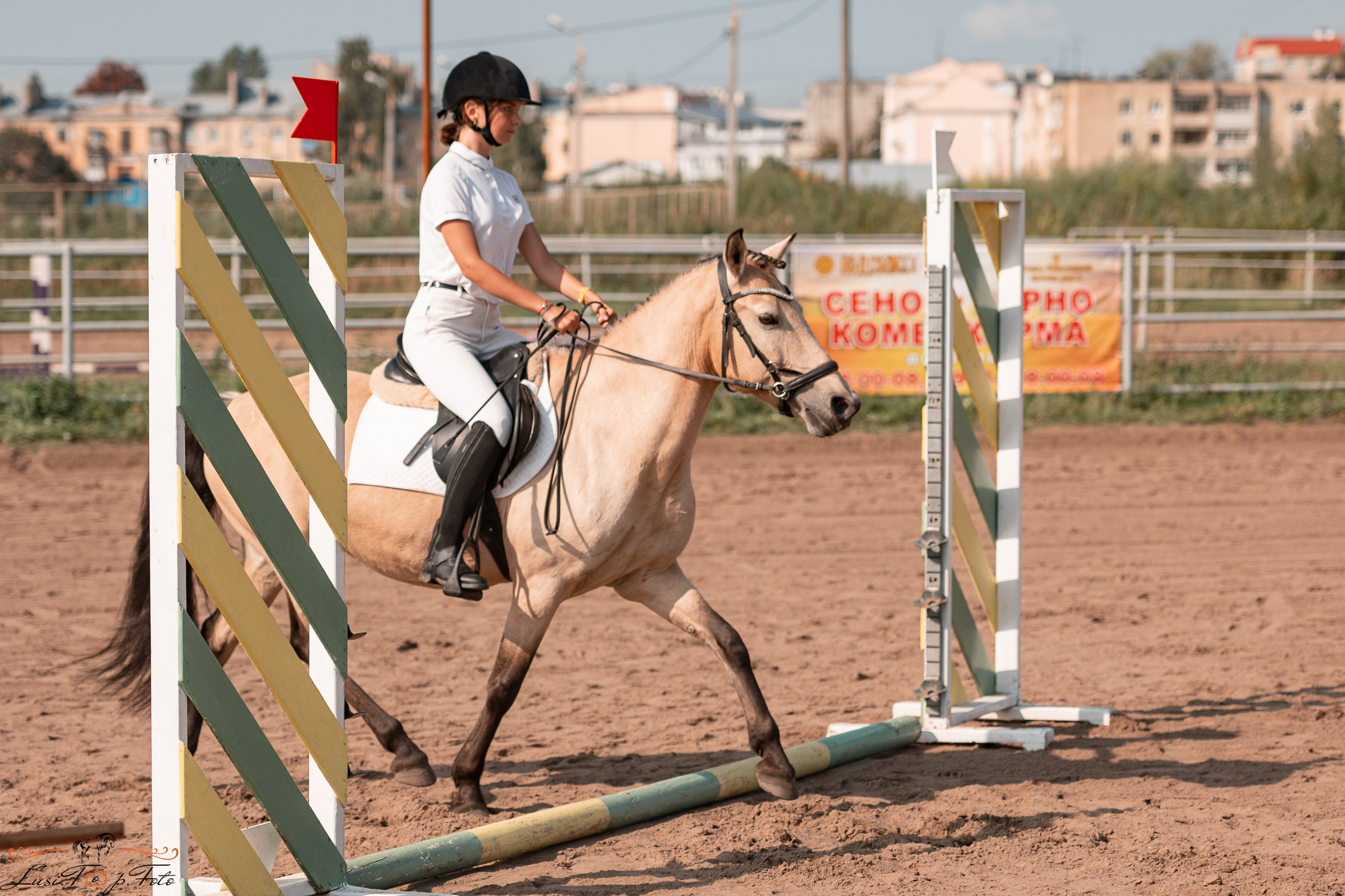 Турнир по выездке и конкуру памяти Н. Ю. Серовой (второй день — конкур). Конный и фотограф с животными в Твери Топталова Люся