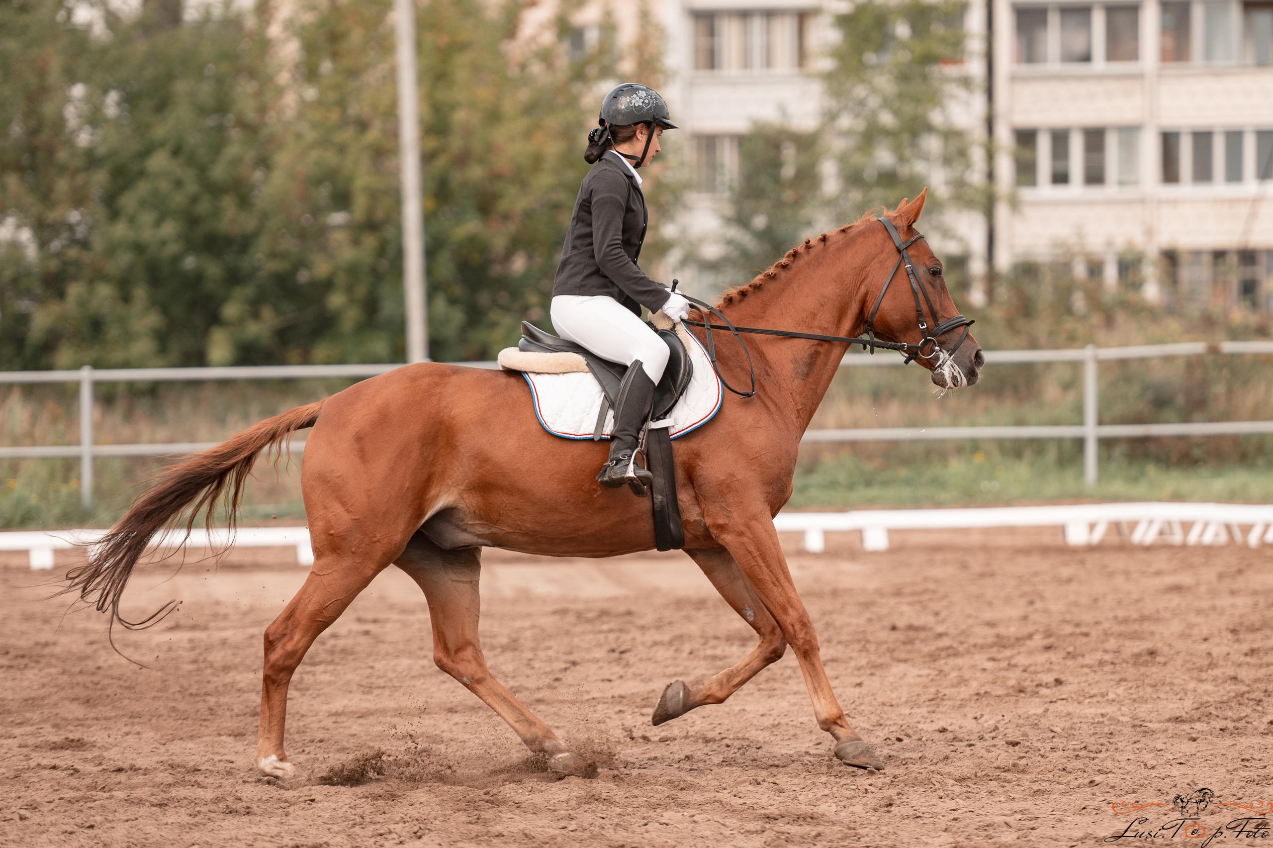Турнир по выездке и конкуру памяти Н. Ю. Серовой (день 1 — выездка). Конный и фотограф с животными в Твери Топталова Люся