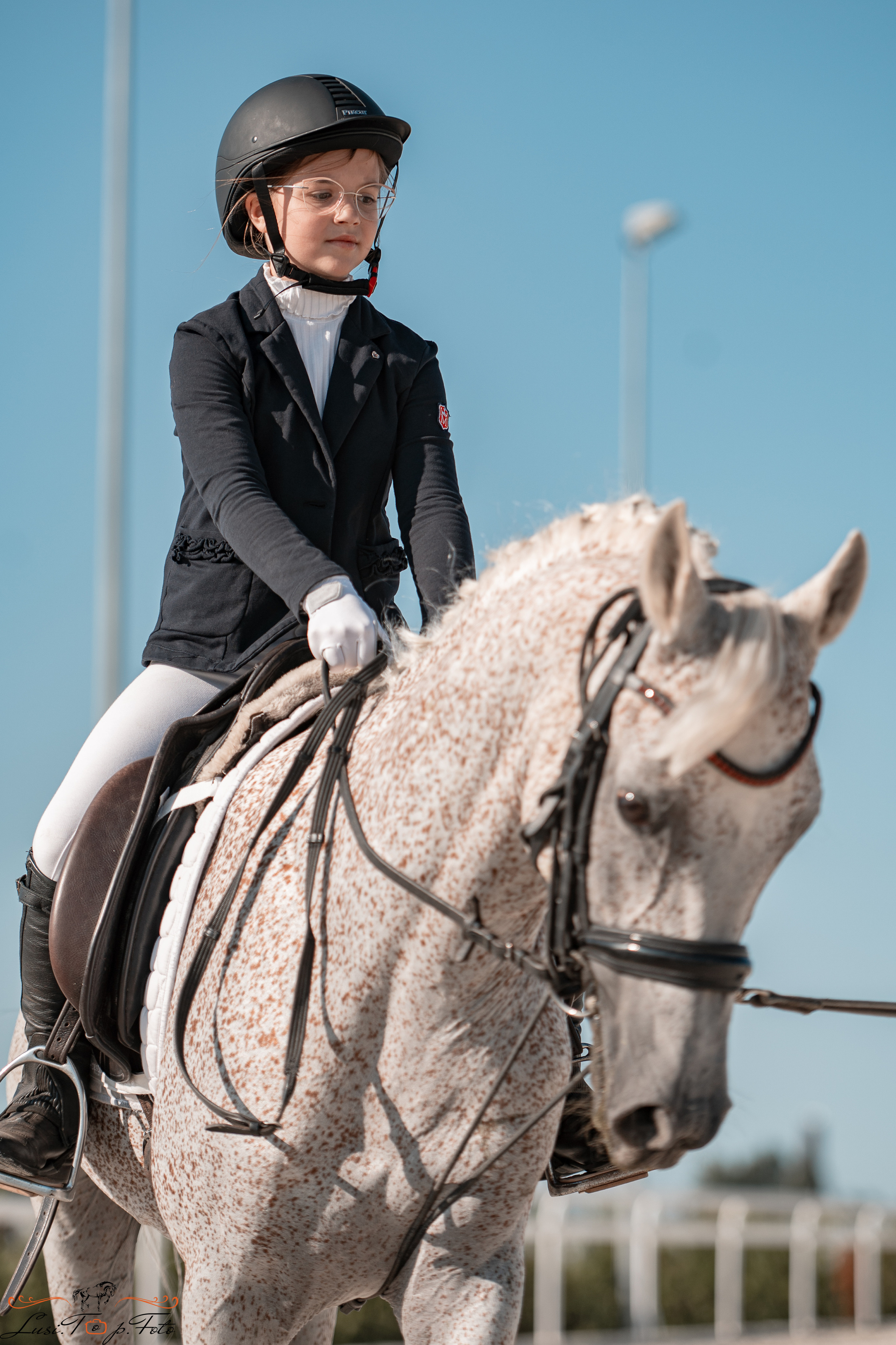 Открытая тренировка по выездке в КК Equipark. Конный и фотограф с животными в Твери Топталова Люся