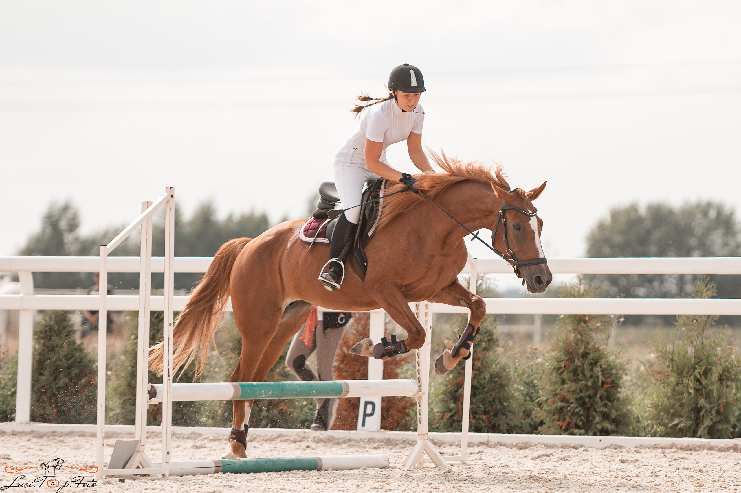 Открытая тренировка по конкуру в КК Equipark. Конный и фотограф с животными в Твери Топталова Люся