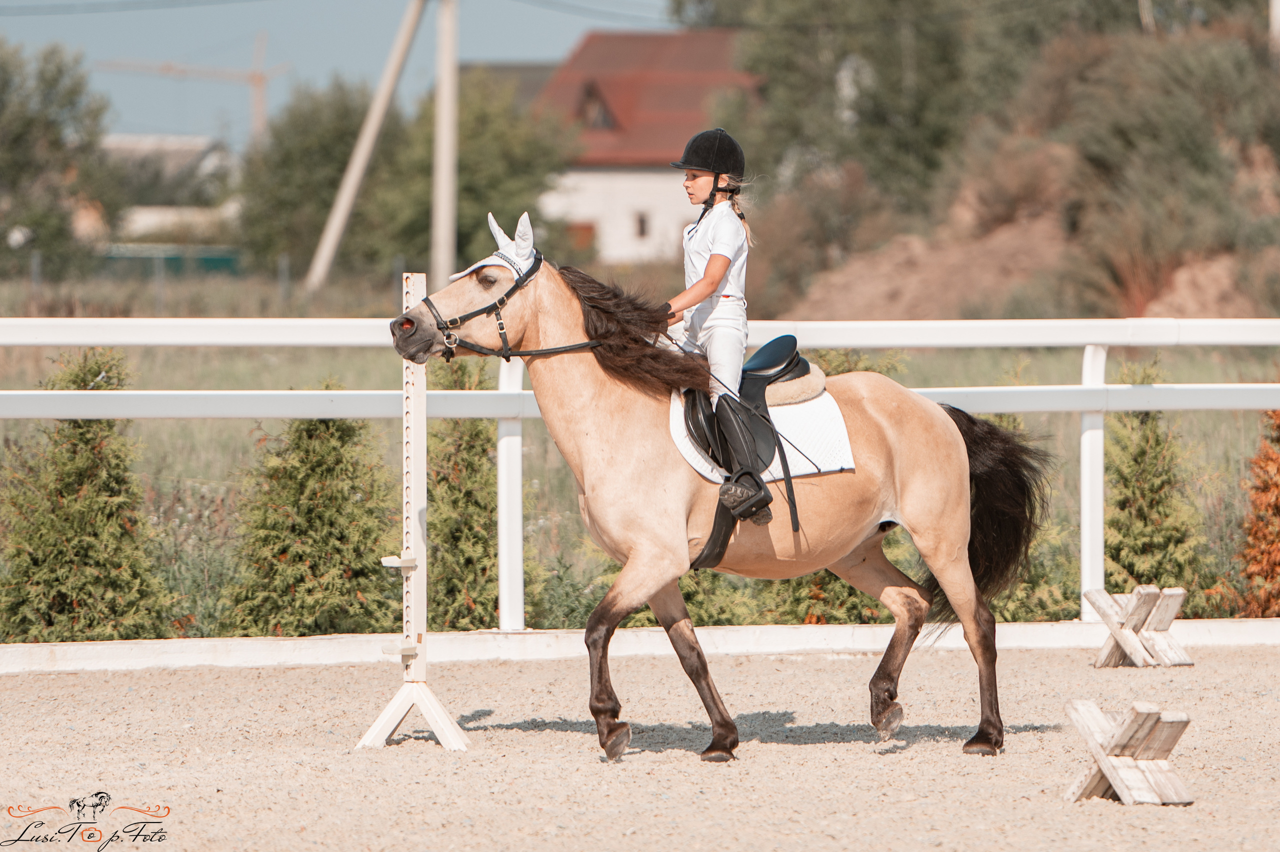 Открытая тренировка по конкуру в КК Equipark. Конный и фотограф с животными в Твери Топталова Люся
