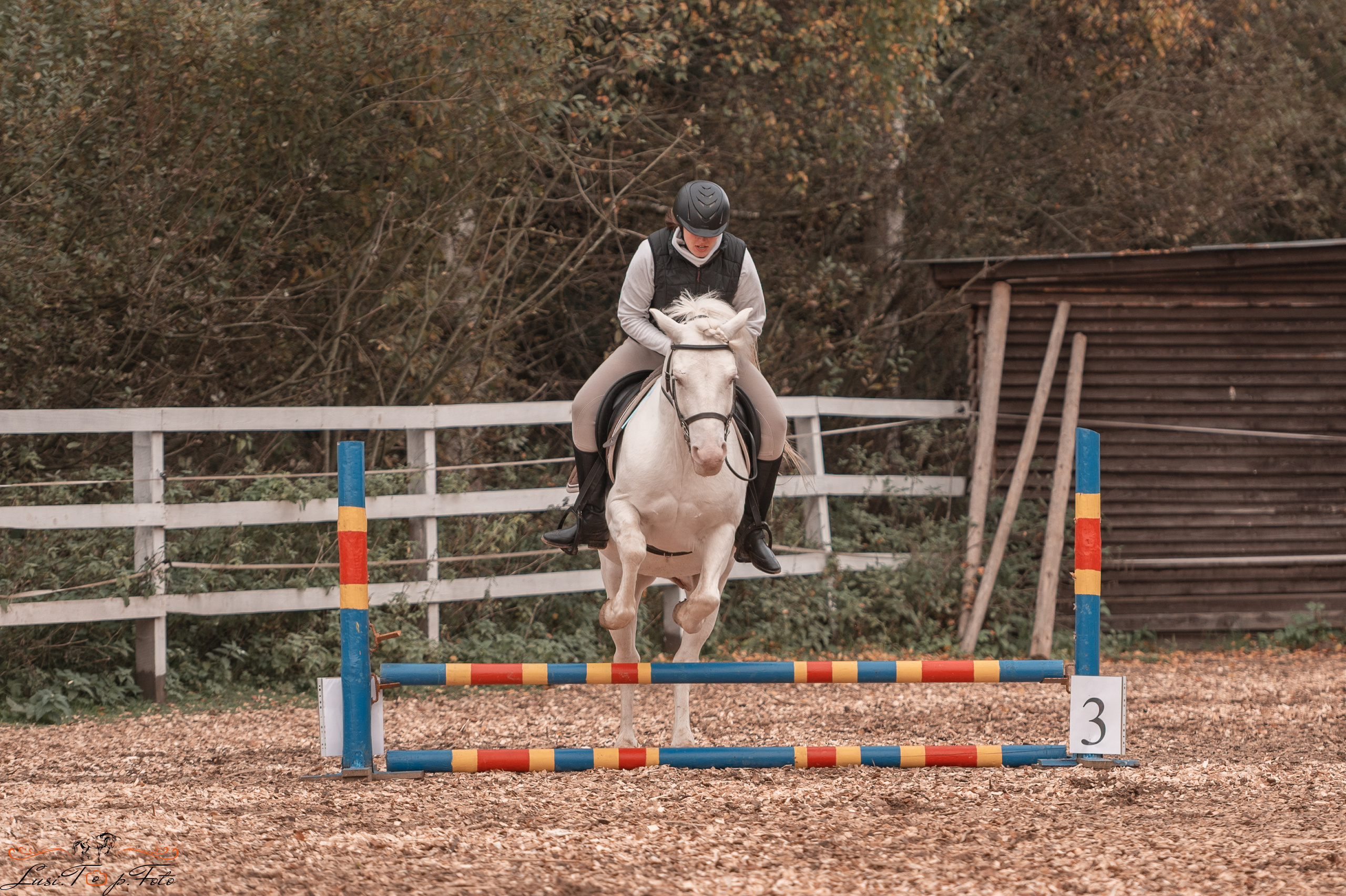 КК Траверсале Конкур. Конный и фотограф с животными в Твери Топталова Люся
