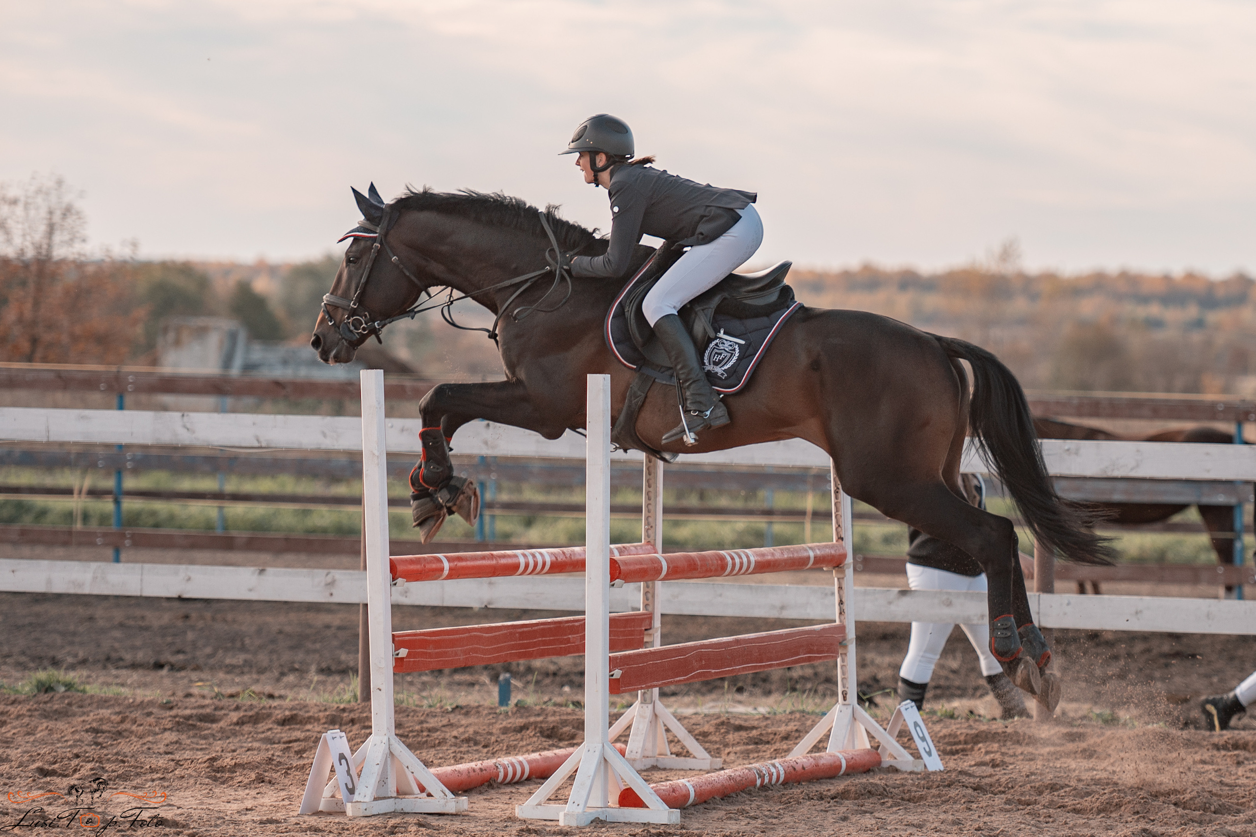 Открытая тренировка КК «Резвая». Конный и фотограф с животными в Твери Топталова Люся