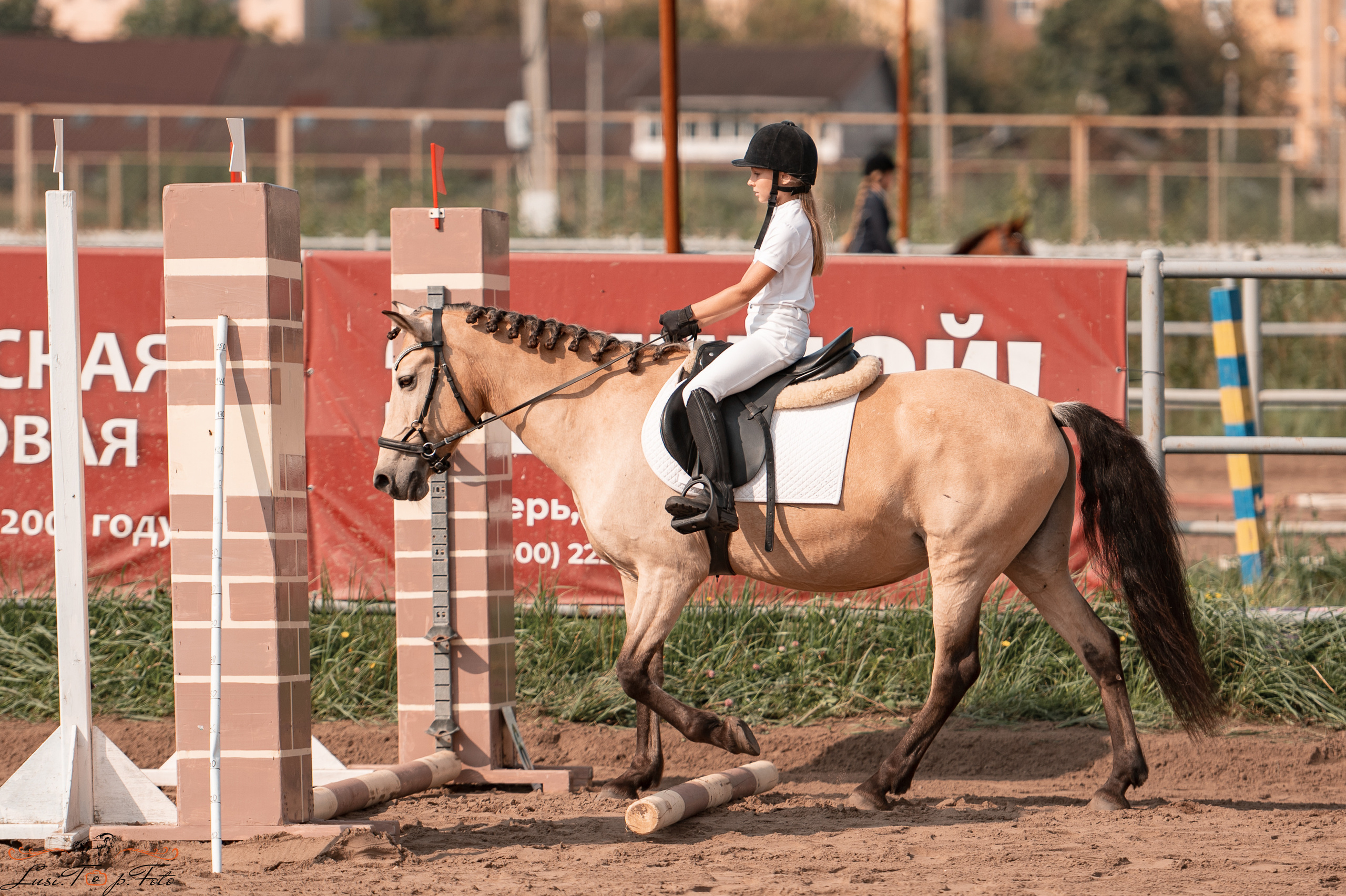 Турнир по выездке и конкуру памяти Н. Ю. Серовой (второй день — конкур). Конный и фотограф с животными в Твери Топталова Люся