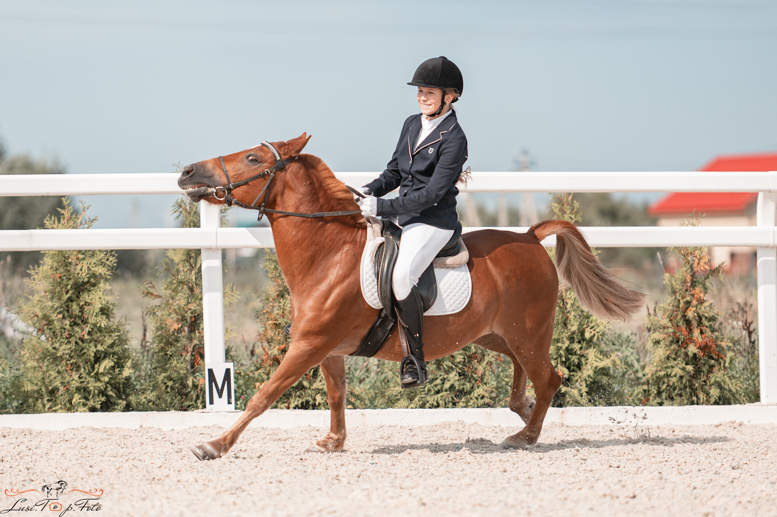 Открытая тренировка по выездке в КК Equipark. Конный и фотограф с животными в Твери Топталова Люся