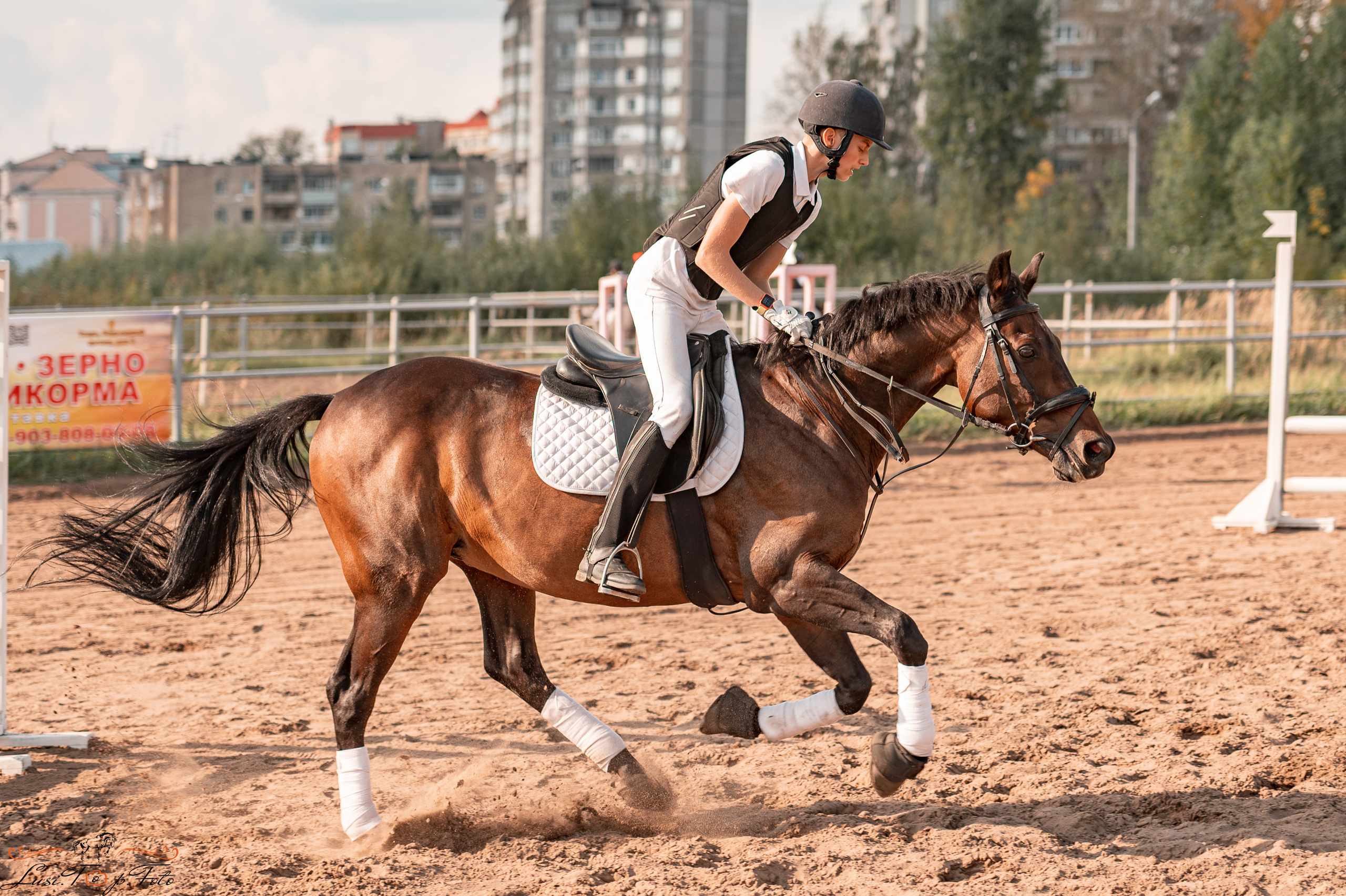 Турнир по выездке и конкуру памяти Н. Ю. Серовой (второй день — конкур). Конный и фотограф с животными в Твери Топталова Люся