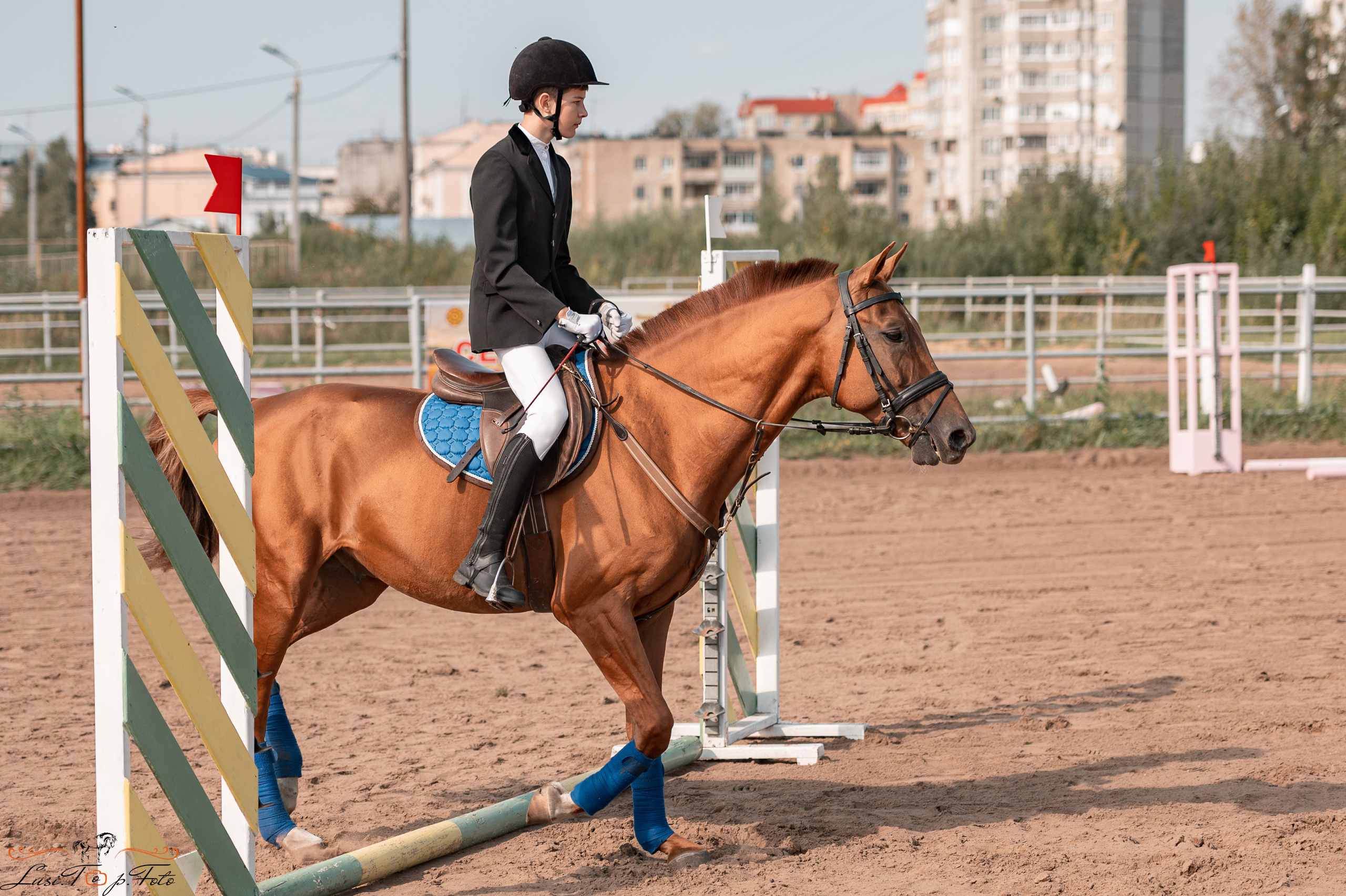 Турнир по выездке и конкуру памяти Н. Ю. Серовой (второй день — конкур). Конный и фотограф с животными в Твери Топталова Люся