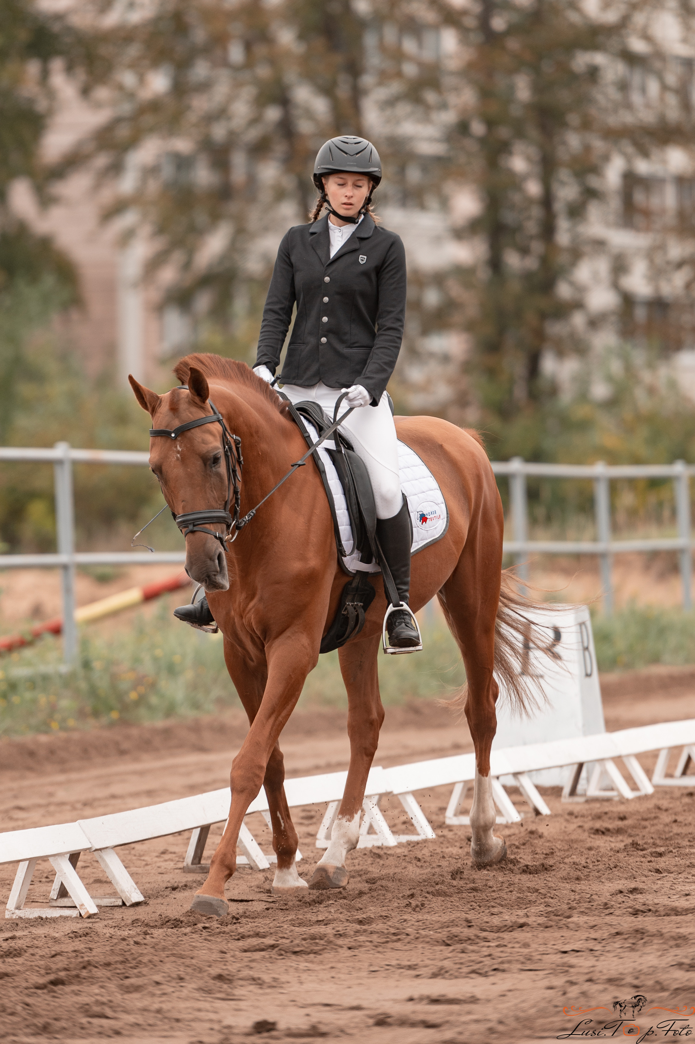 Турнир по выездке и конкуру памяти Н. Ю. Серовой (день 1 — выездка). Конный и фотограф с животными в Твери Топталова Люся