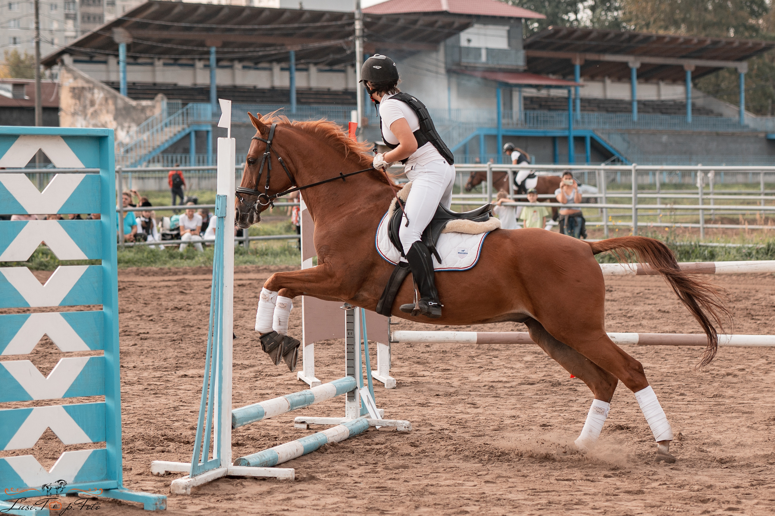 Турнир по выездке и конкуру памяти Н. Ю. Серовой (второй день — конкур). Конный и фотограф с животными в Твери Топталова Люся