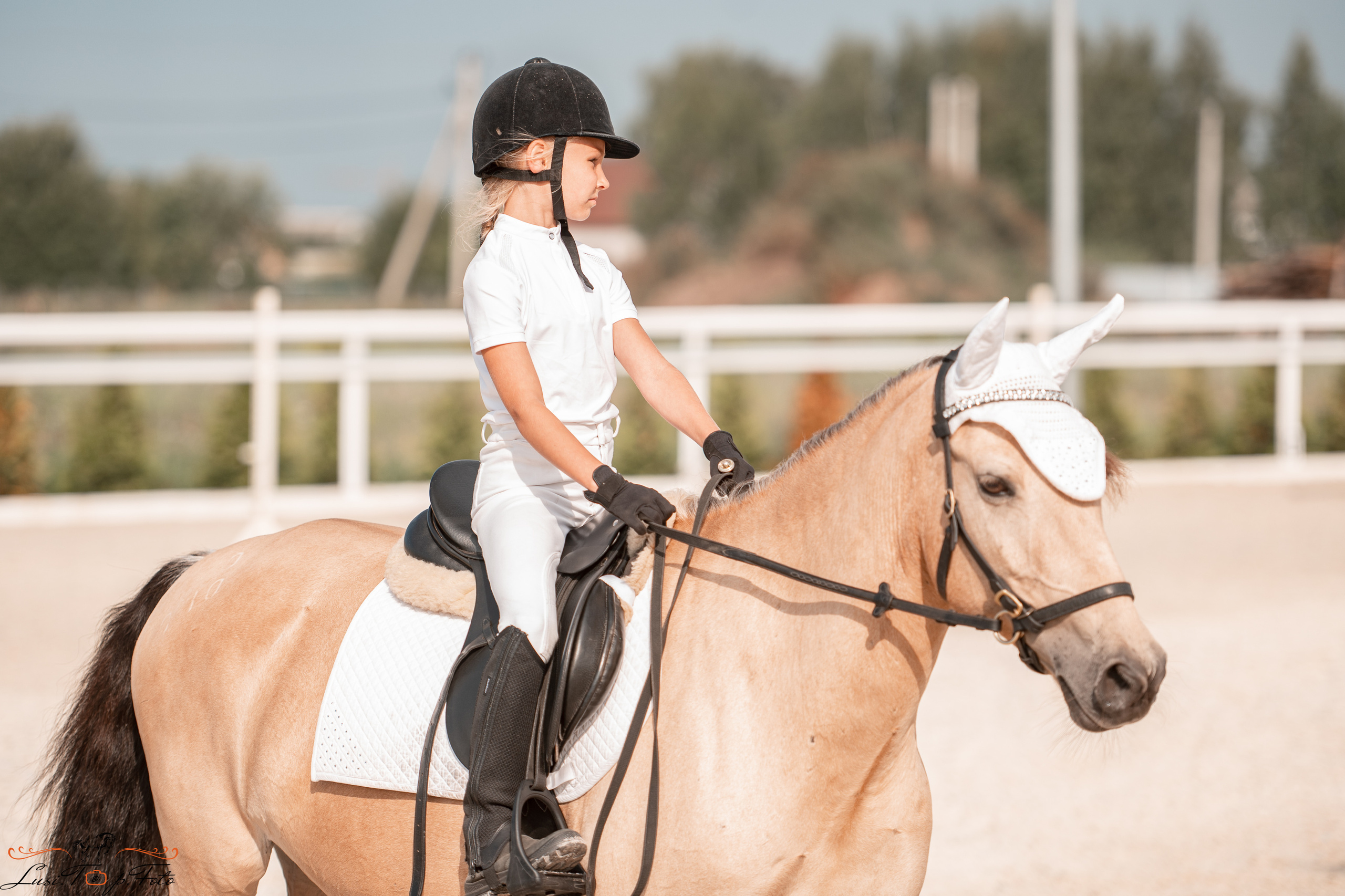 Открытая тренировка по конкуру в КК Equipark. Конный и фотограф с животными в Твери Топталова Люся