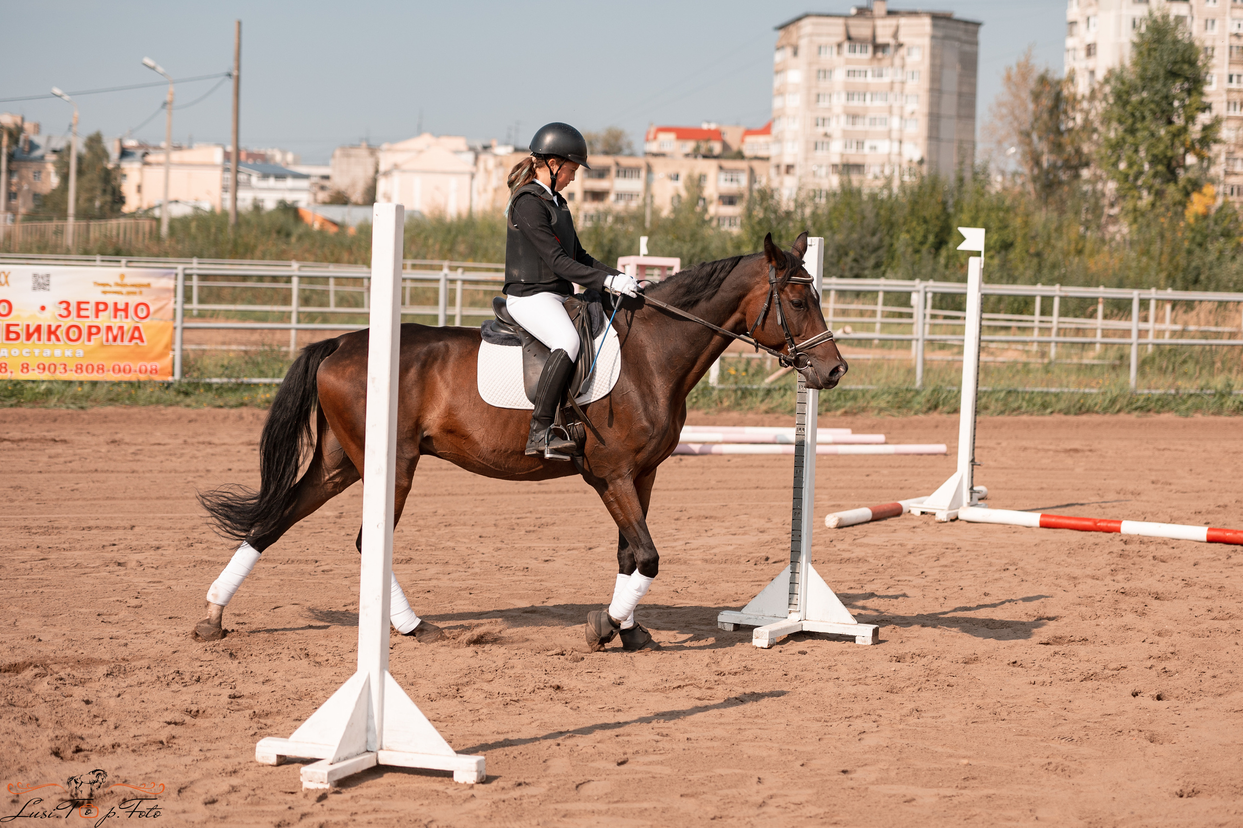 Турнир по выездке и конкуру памяти Н. Ю. Серовой (второй день — конкур). Конный и фотограф с животными в Твери Топталова Люся