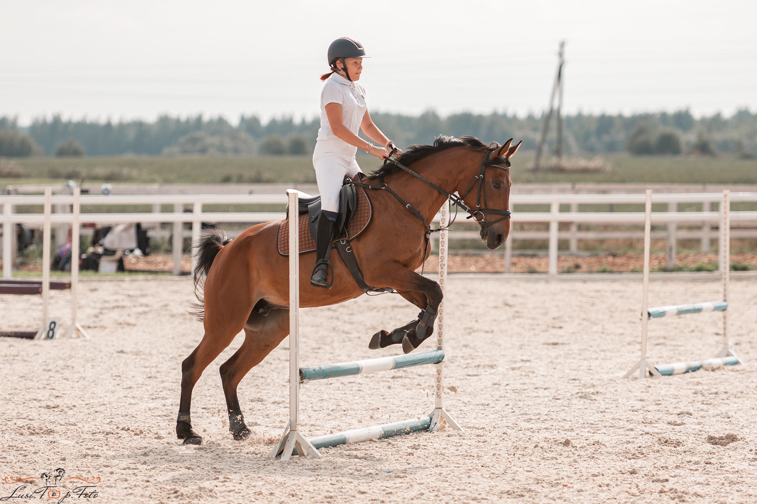 Открытая тренировка по конкуру в КК Equipark. Конный и фотограф с животными в Твери Топталова Люся