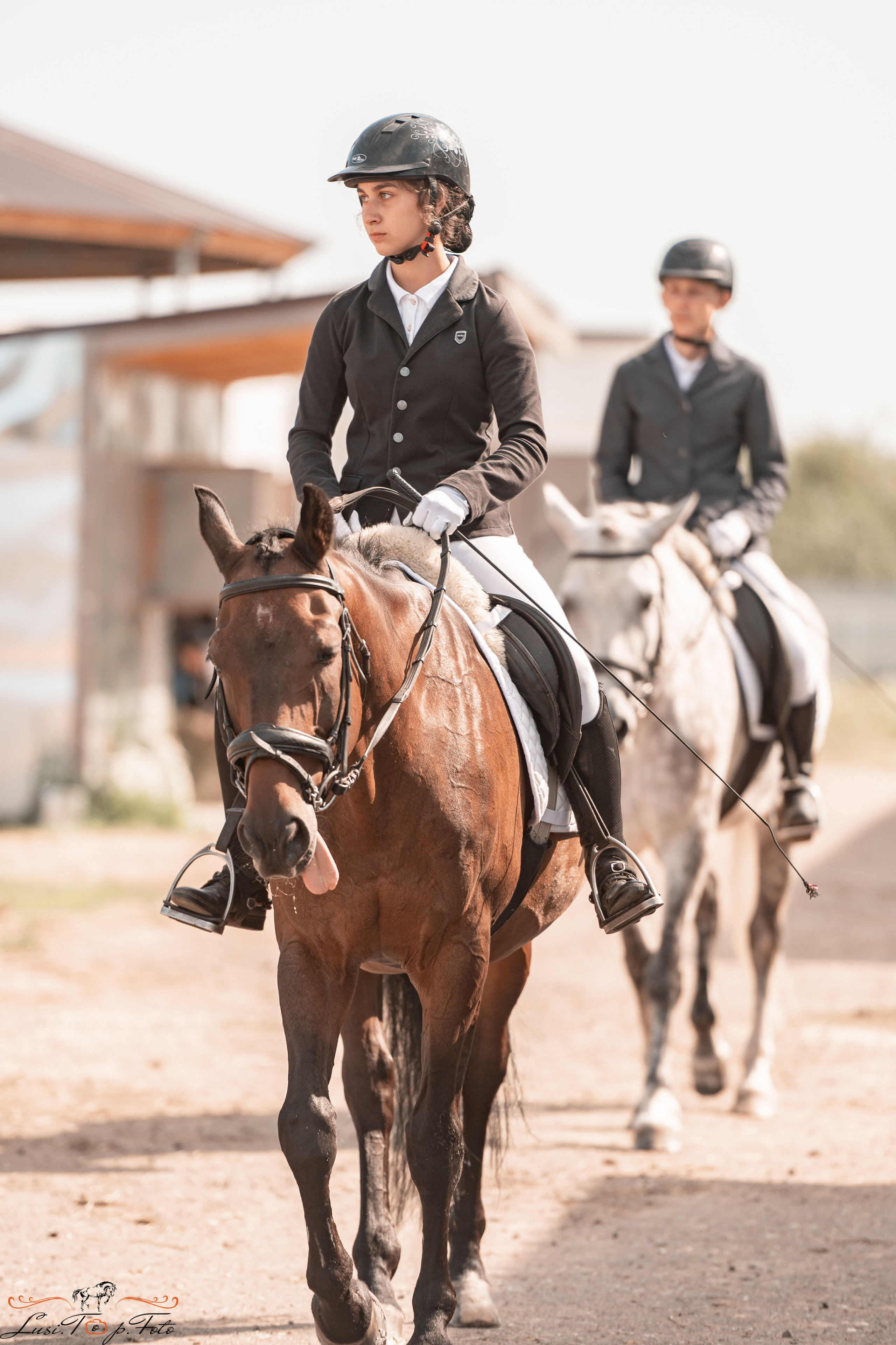 Открытая тренировка по выездке в КК Equipark. Конный и фотограф с животными в Твери Топталова Люся