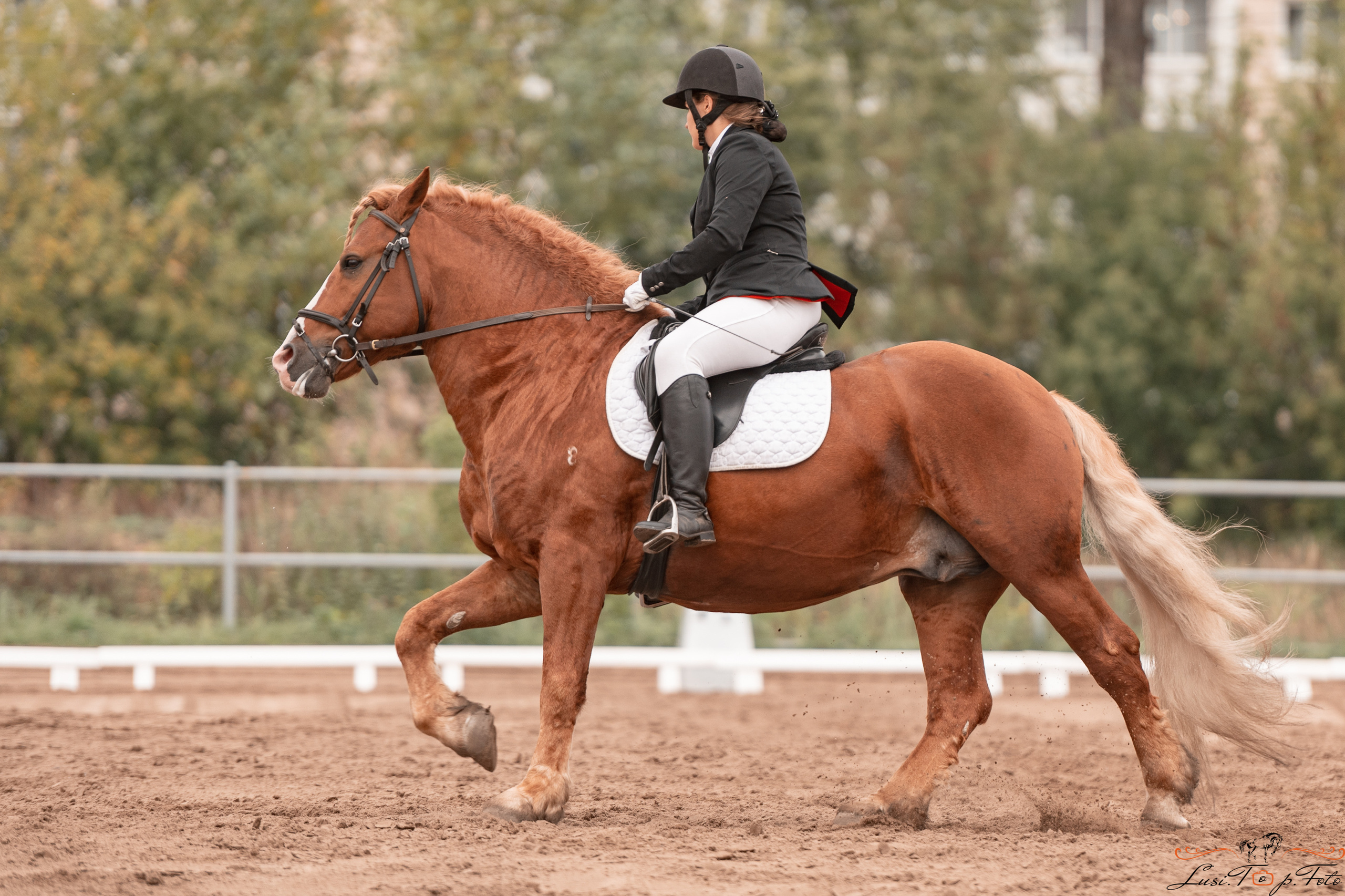 Турнир по выездке и конкуру памяти Н. Ю. Серовой (день 1 — выездка). Конный и фотограф с животными в Твери Топталова Люся