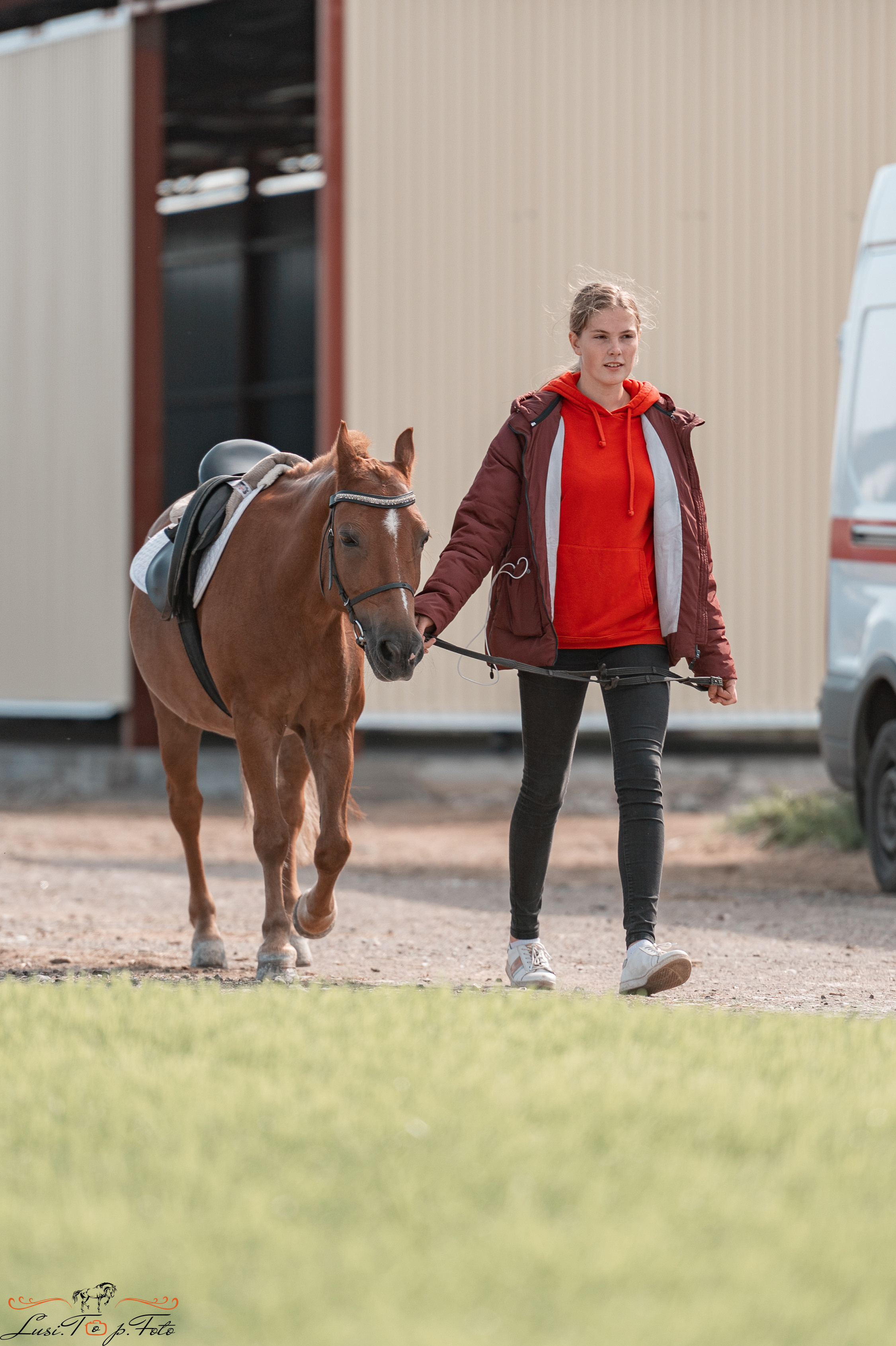 Открытая тренировка по выездке в КК Equipark. Конный и фотограф с животными в Твери Топталова Люся