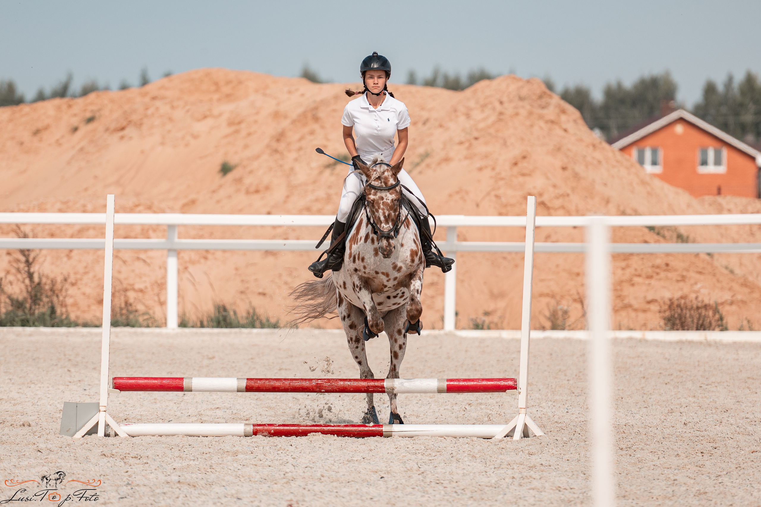 Открытая тренировка по конкуру в КК Equipark. Конный и фотограф с животными в Твери Топталова Люся
