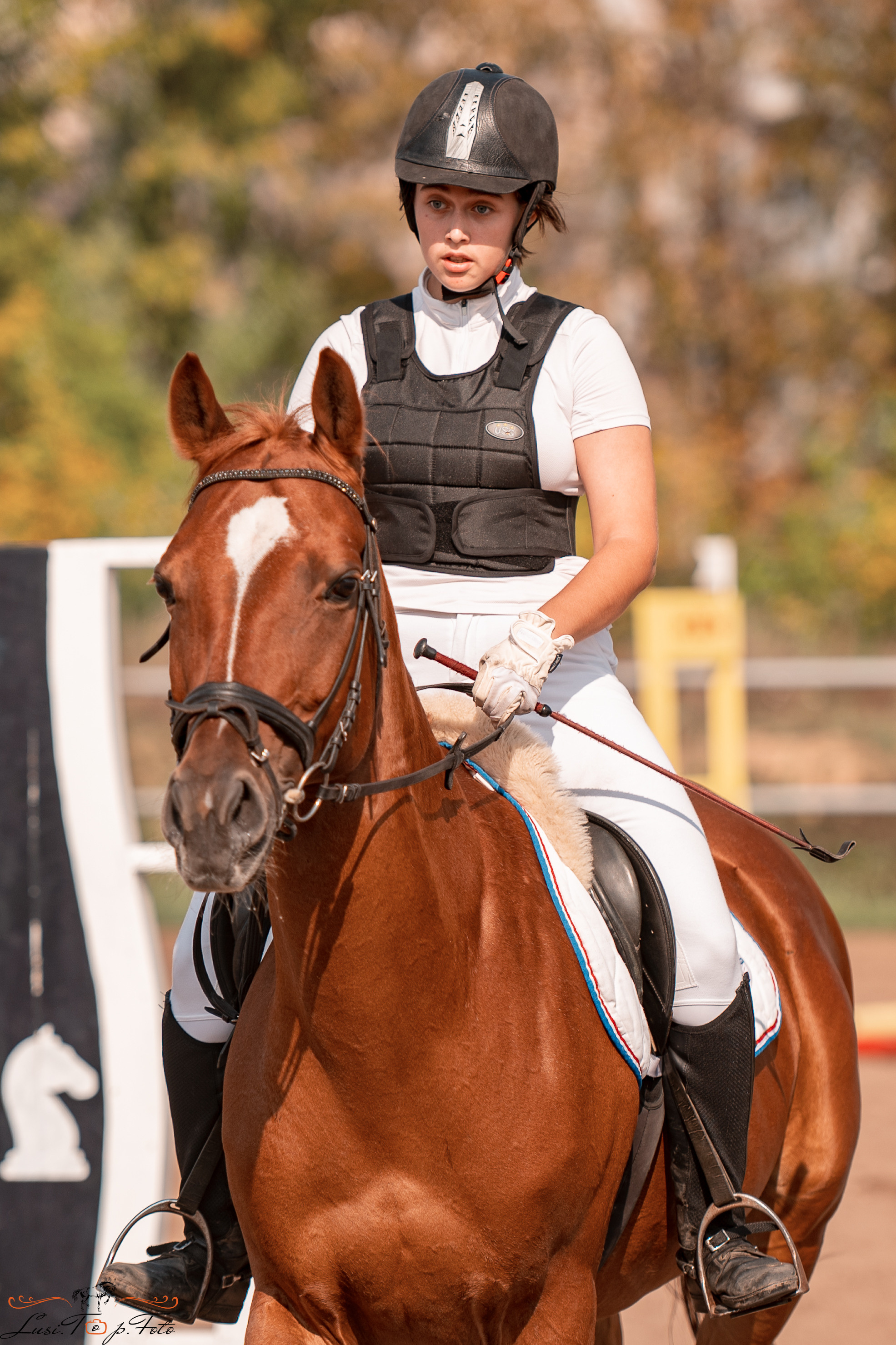 Турнир по выездке и конкуру памяти Н. Ю. Серовой (второй день — конкур). Конный и фотограф с животными в Твери Топталова Люся