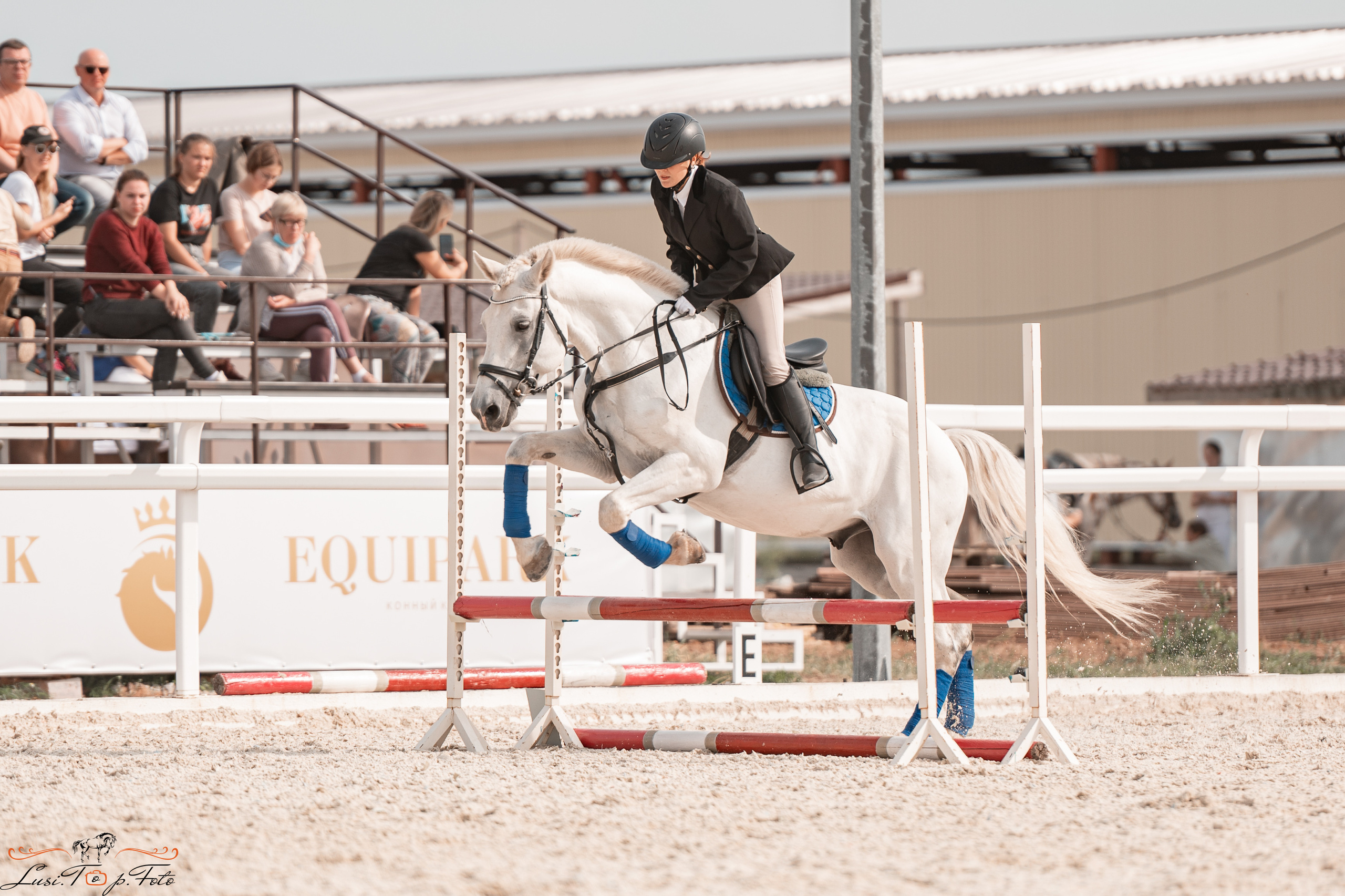Открытая тренировка по конкуру в КК Equipark. Конный и фотограф с животными в Твери Топталова Люся