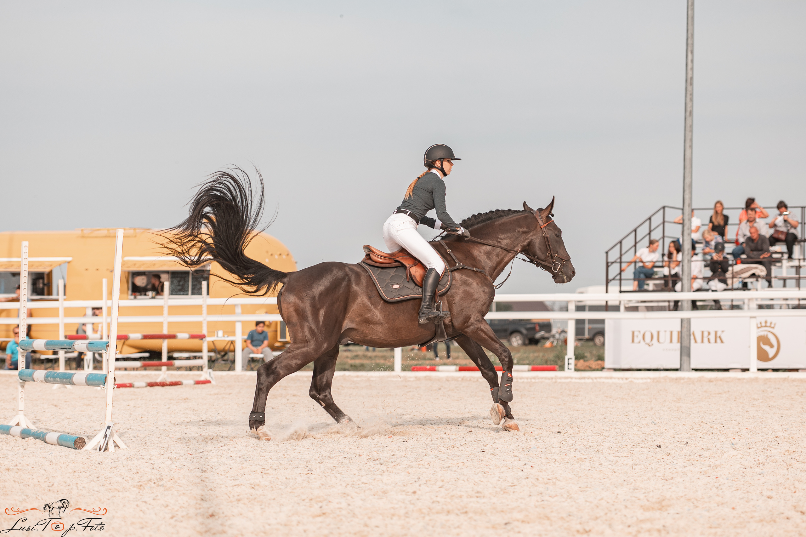 Открытая тренировка по конкуру в КК Equipark. Конный и фотограф с животными в Твери Топталова Люся
