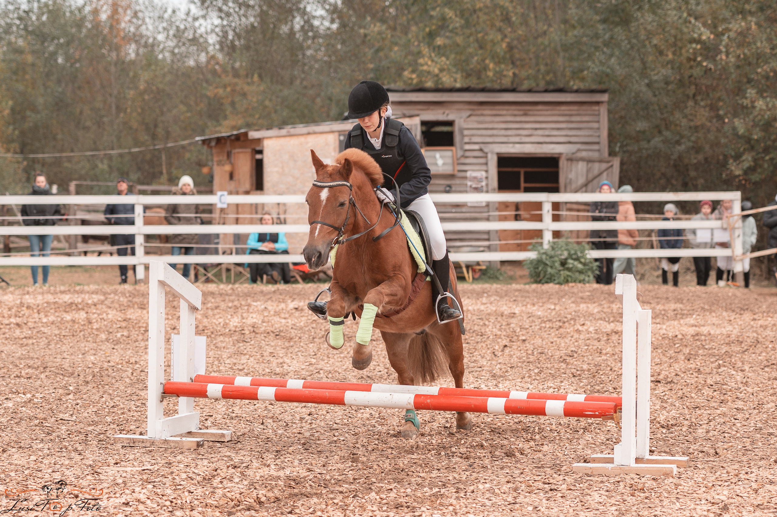 КК Траверсале Конкур. Конный и фотограф с животными в Твери Топталова Люся
