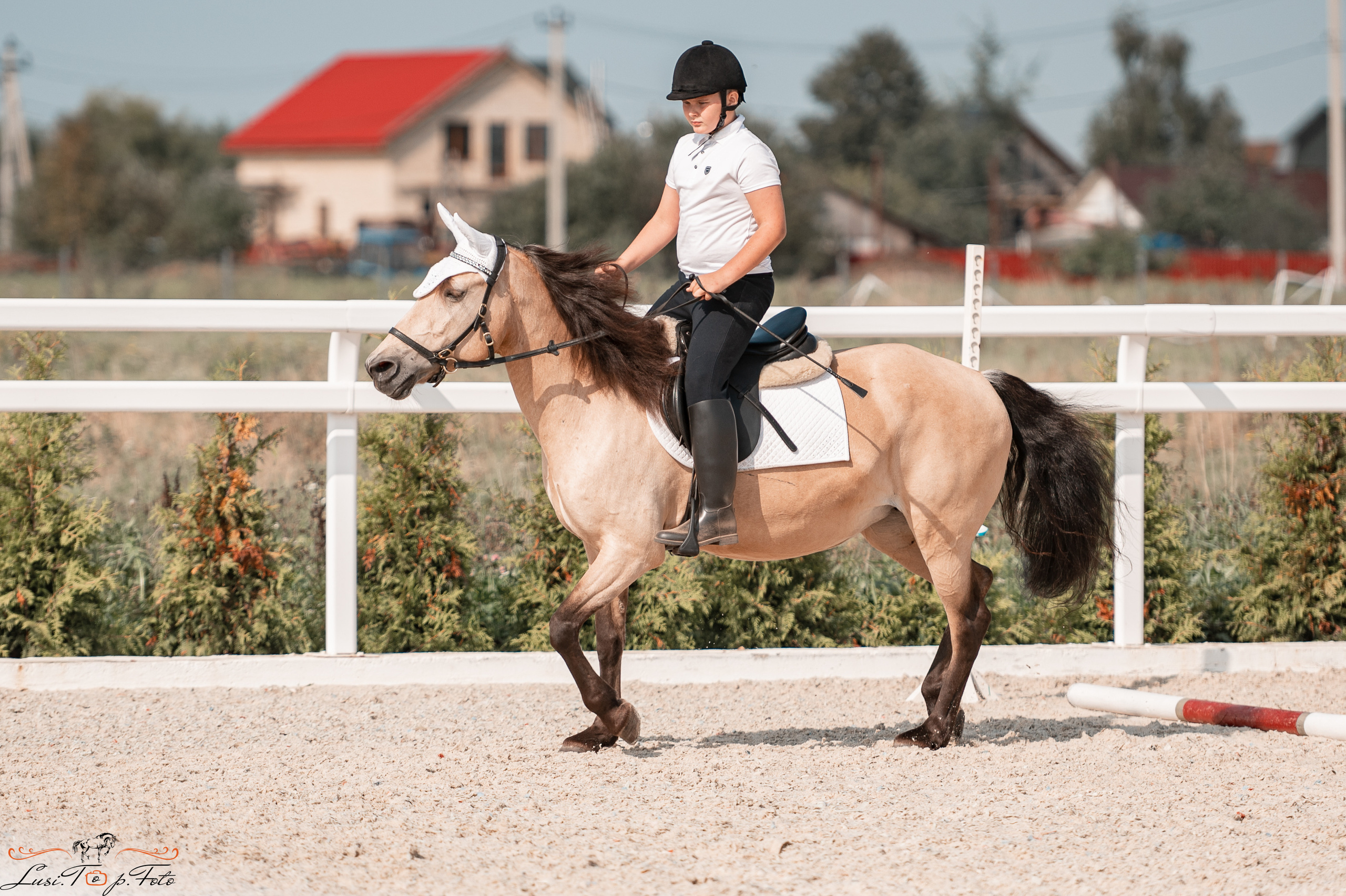 Открытая тренировка по конкуру в КК Equipark. Конный и фотограф с животными в Твери Топталова Люся